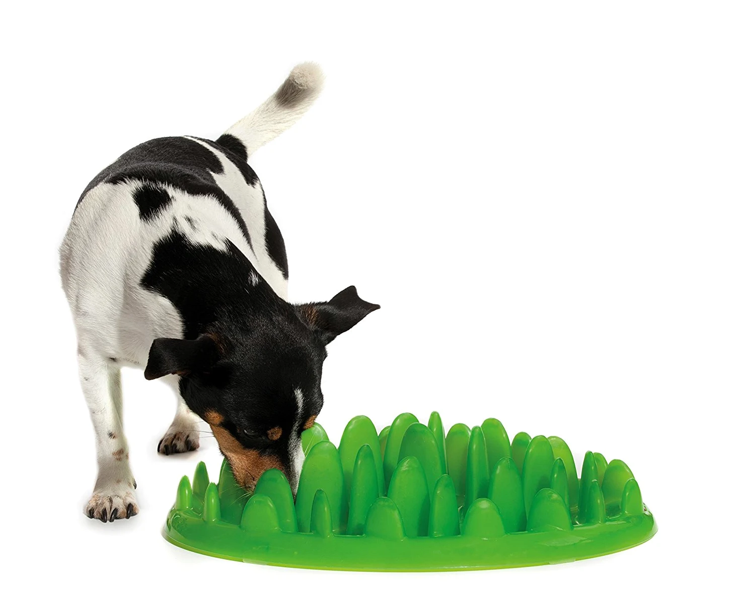 Interactive Gamelle d'alimentation Lente pour Chiens Vert | Taille S | Gamelle Anti Glouton Chien pour réduire les ballonnements, Procure une stimulation mentale, lavable au lave-vaisselle