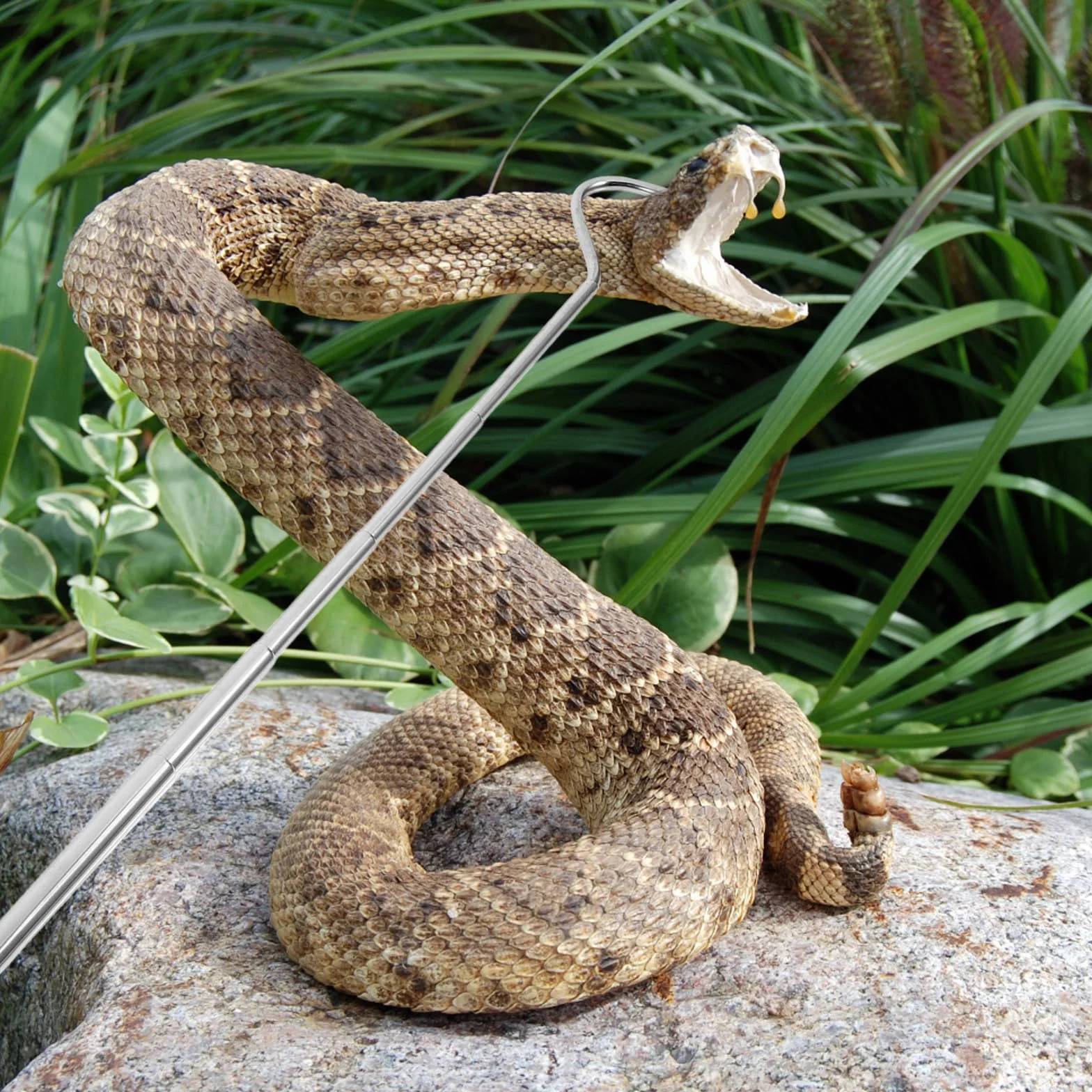 Homoyoyo Crochet Serpent en Acier Inoxydable Rétractable Noir Outil Portable pour Attraper Serpents