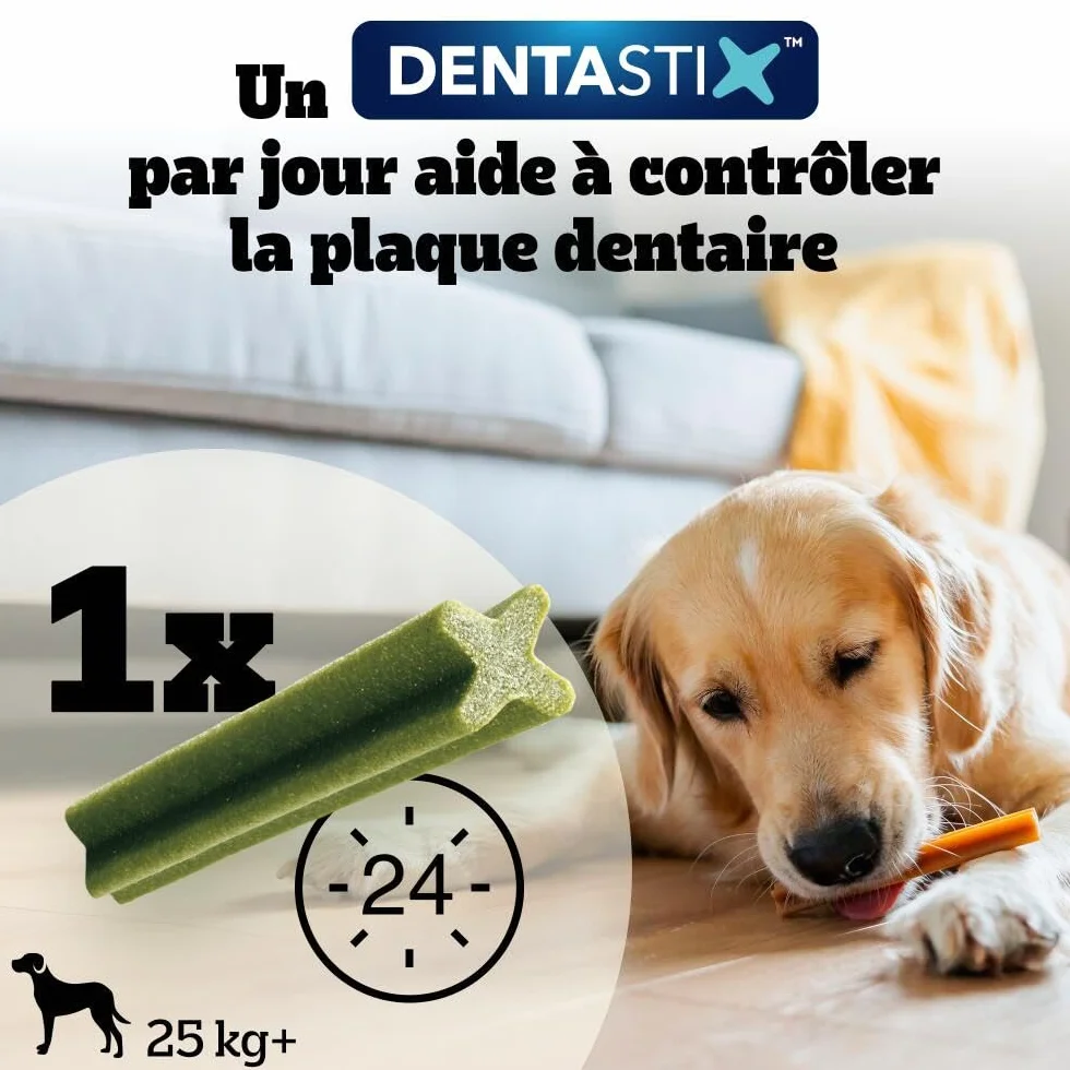 Pedigree DentaStix Daily Fresh Bâtonnets à mâcher pour Grand Chien 10 sachets de 7 Sticks