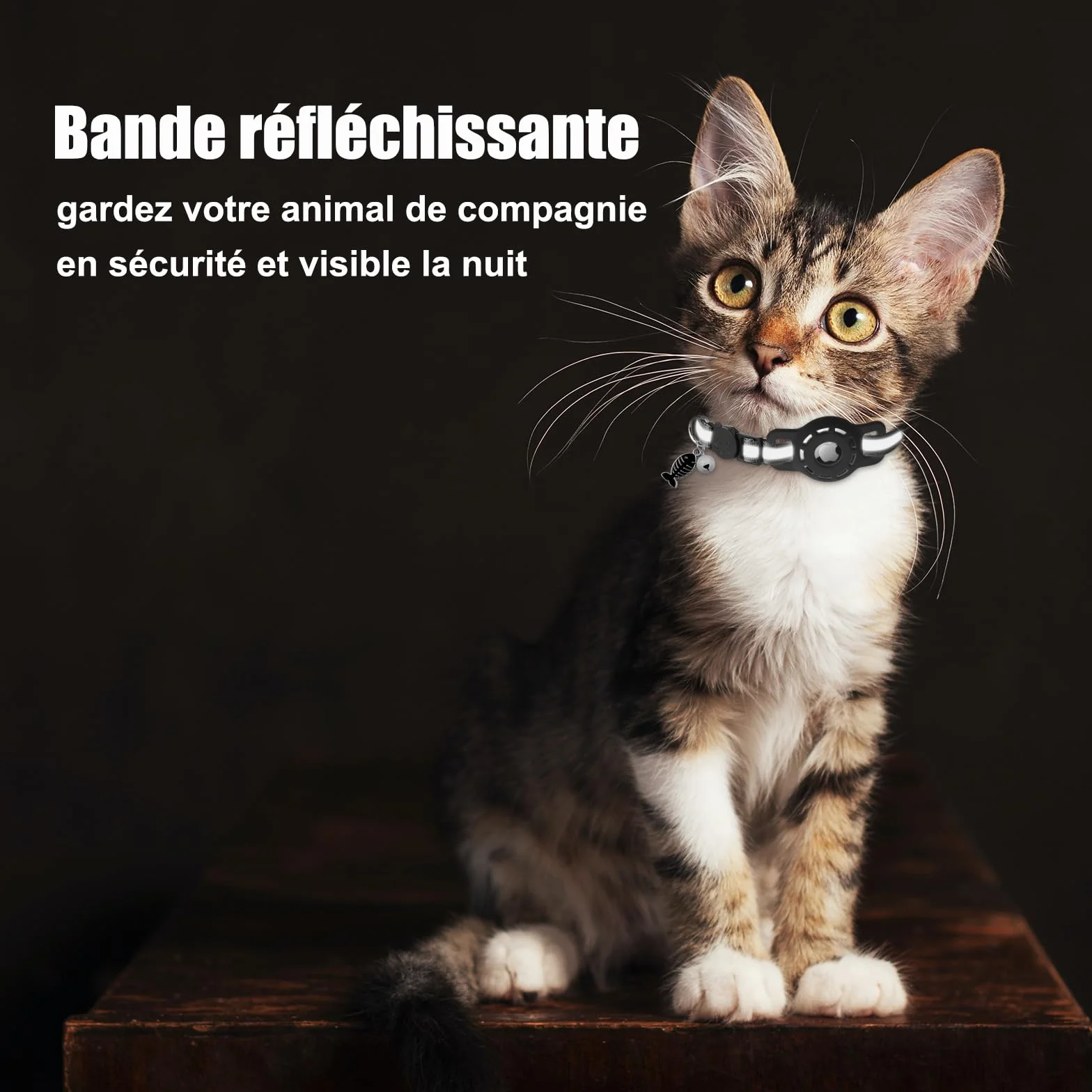Collier Chat Compatible Airtag Réglable Réfléchissant avec Cloche Anti-étranglement Boucle Sécurité Noir