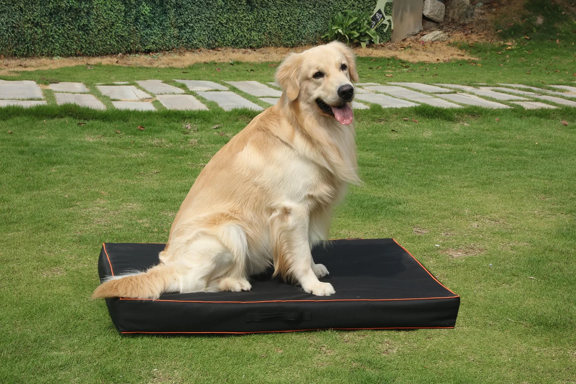 Leberna Housse de protection universelle imperméable lavable Oxford pour lit de chien noir L 111,8 x 81,3 x 10,2 cm