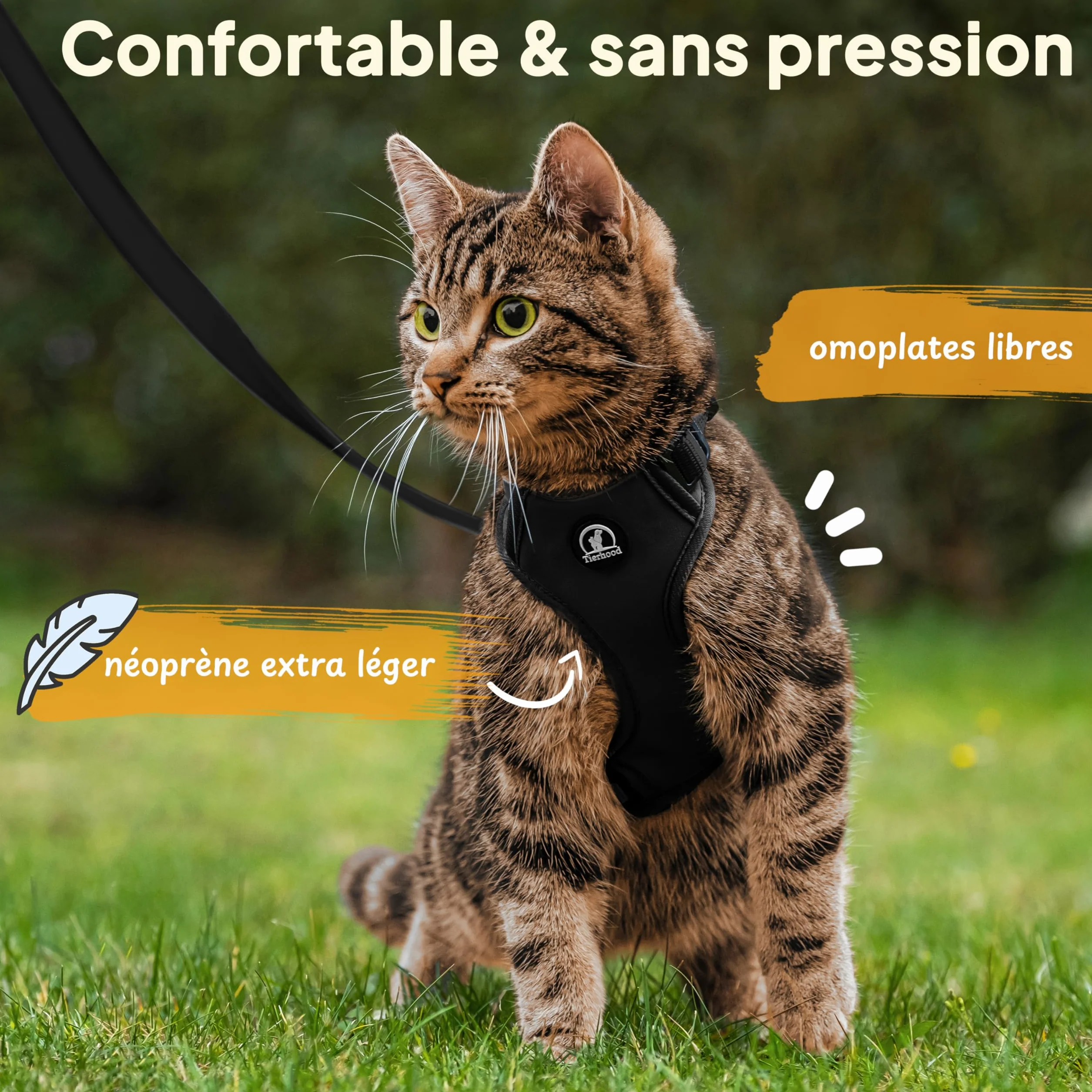 Tierhood Harnais pour Chat Anti-évasion Noir Taille S