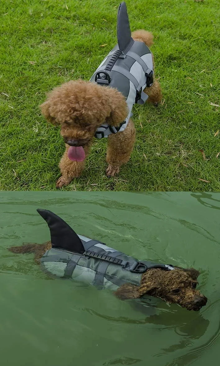 Gilet de Flottaison pour Chiens - Gilet de Sauvetage Réglable avec Poignée - Pet Life Jacket Gris M