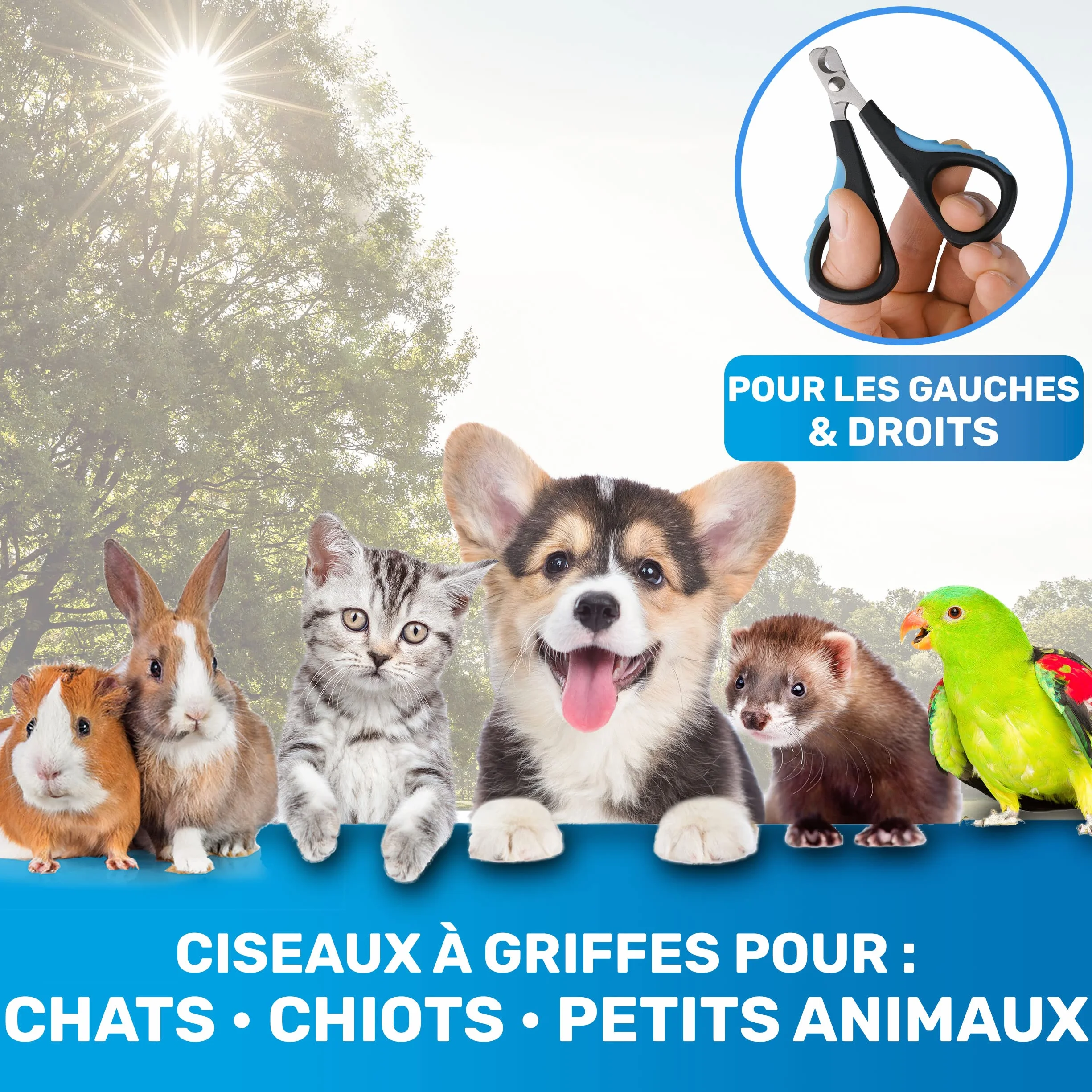BluePet Coupe Griffes Chat et Chien & Lapin, Coupe-Ongle Mini Pour Rongeur, Pince Griffe Chats & Chiens Petits