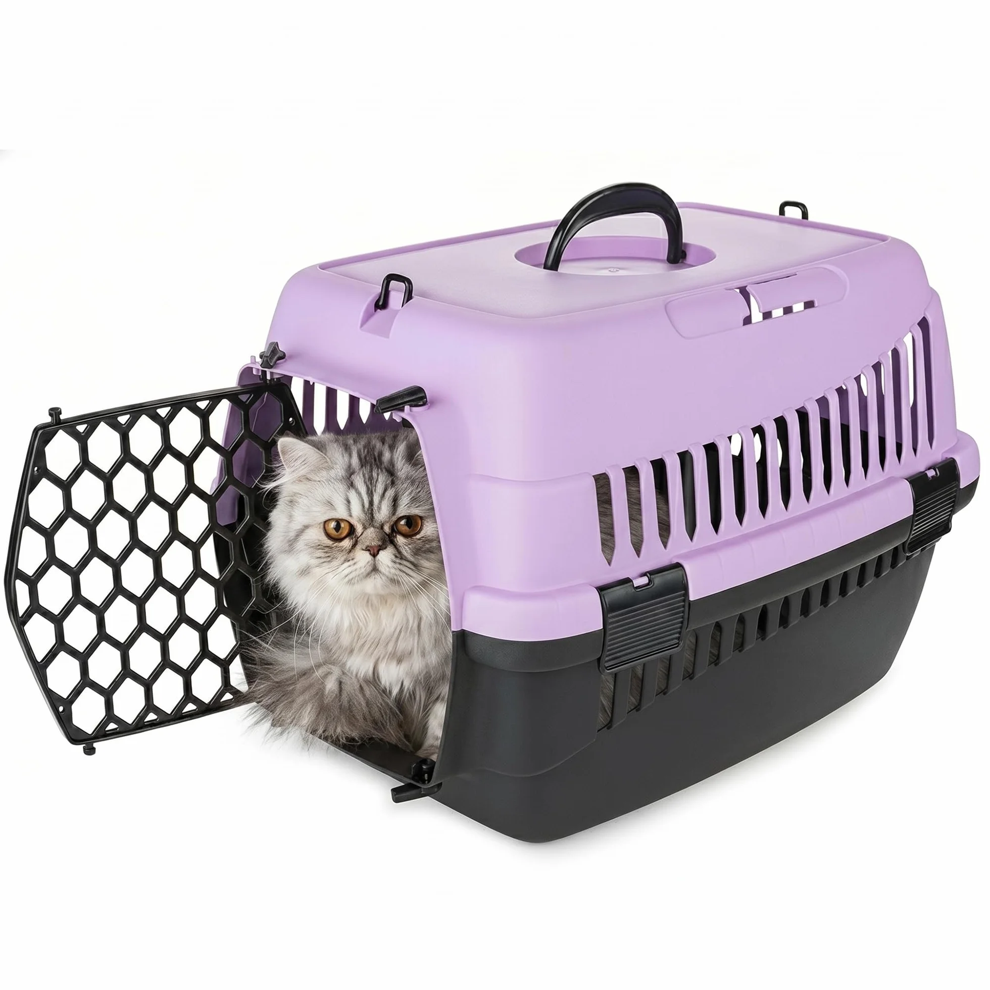 HAPPET ABBA M Sac de transport robuste pour chats et petits chiens, transport portable avec poignée et ventilation, violet
