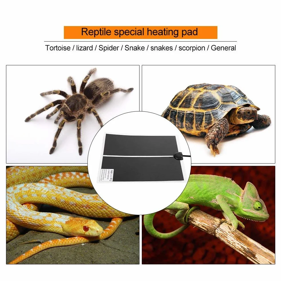 Tapis Chauffant Reptile 5W 5.9x5.5 Pouces Terrarium Réglable avec Contrôle de Température