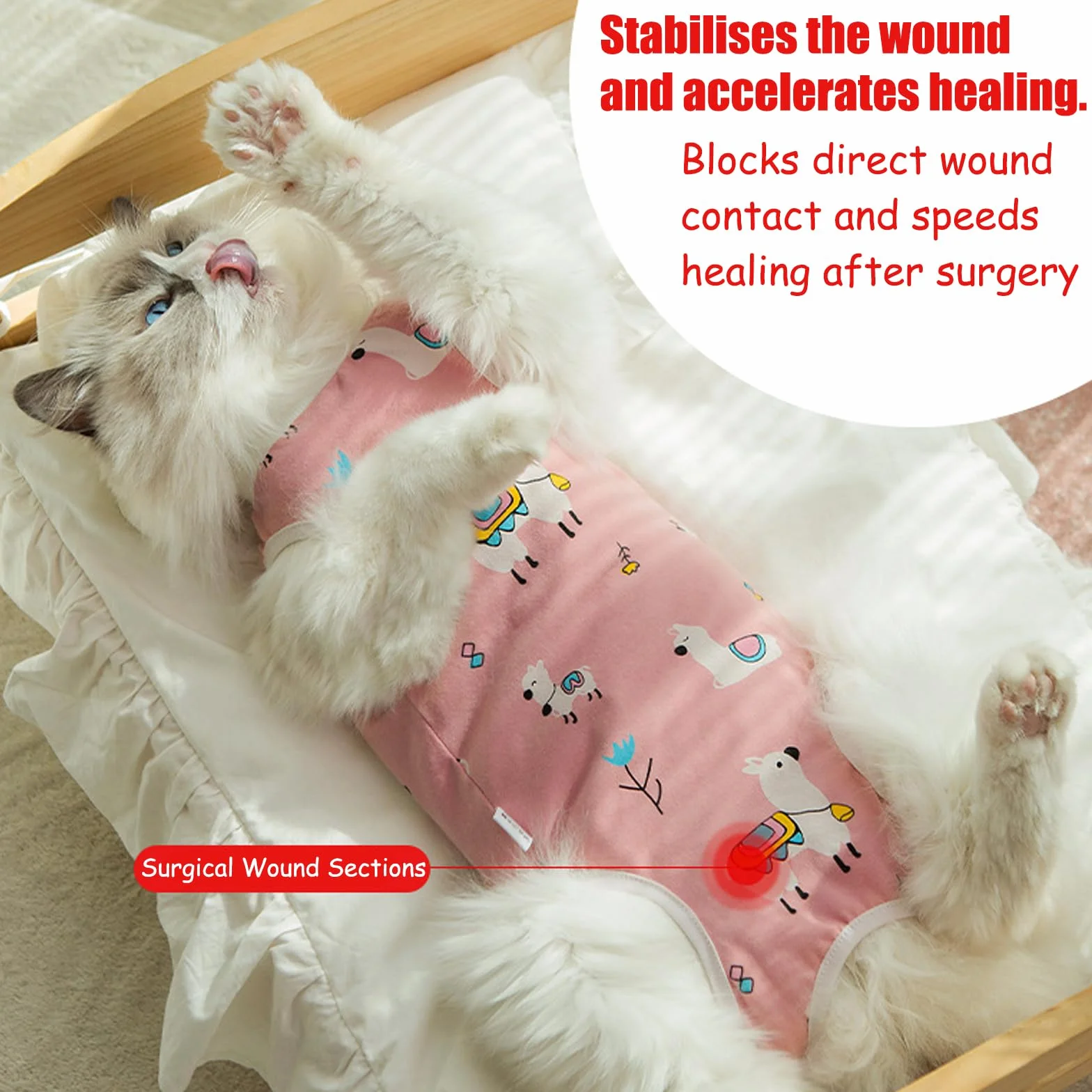 Lot de 2 Chats Post-opératoires Anti-léchage Taille M pour Chat 2-4 kg