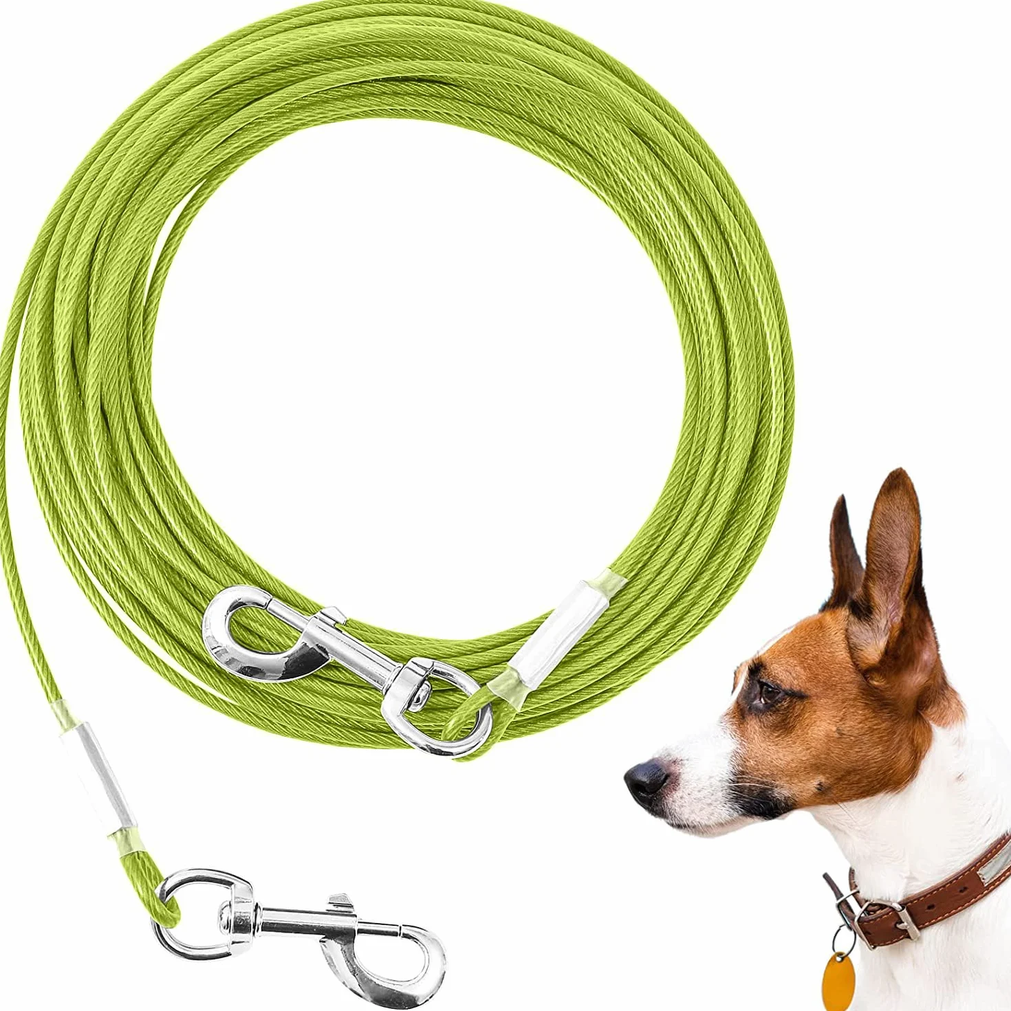 Laisse pour chien anti-mastication 6 m, taille moyenne et grande, vert