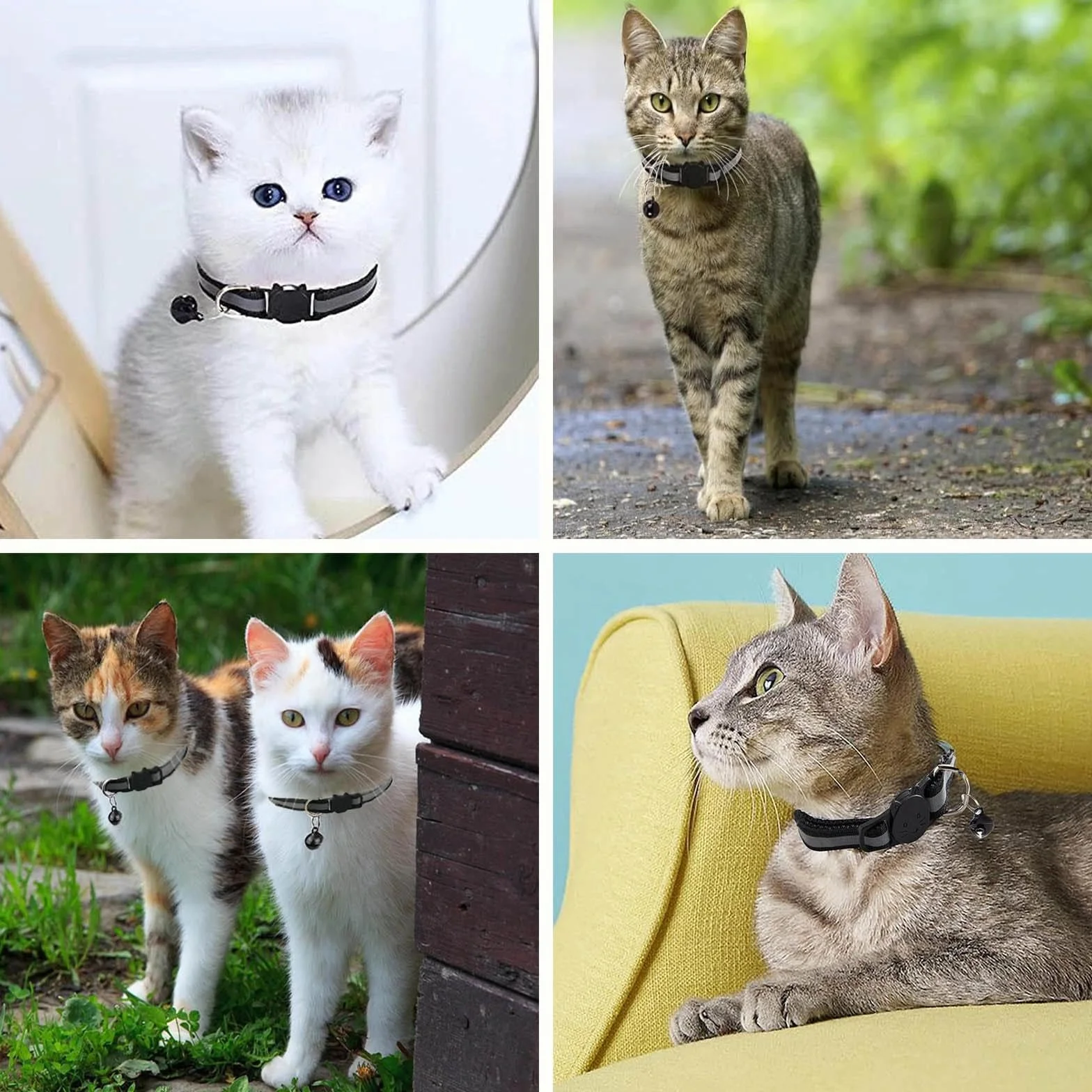 Collier Chat Anti-étranglement Réfléchissant 2 Pièces, Noir, Réglable 19-32cm