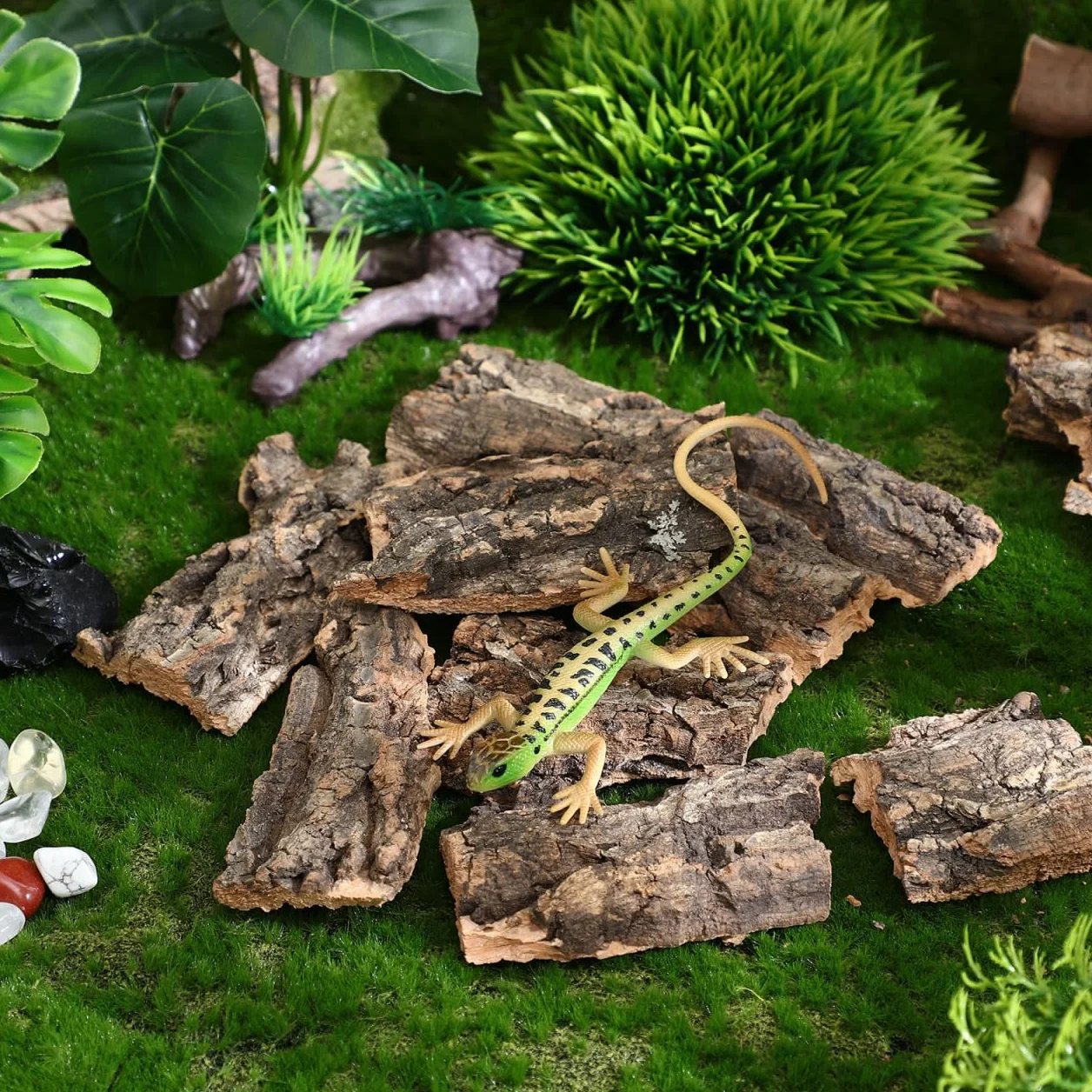 LALAFINA Lot de 10 Écorces Décoratives Naturelles pour Terrarium Reptiles Lézards Tortues Petite 5-9 CM Bois Sûr