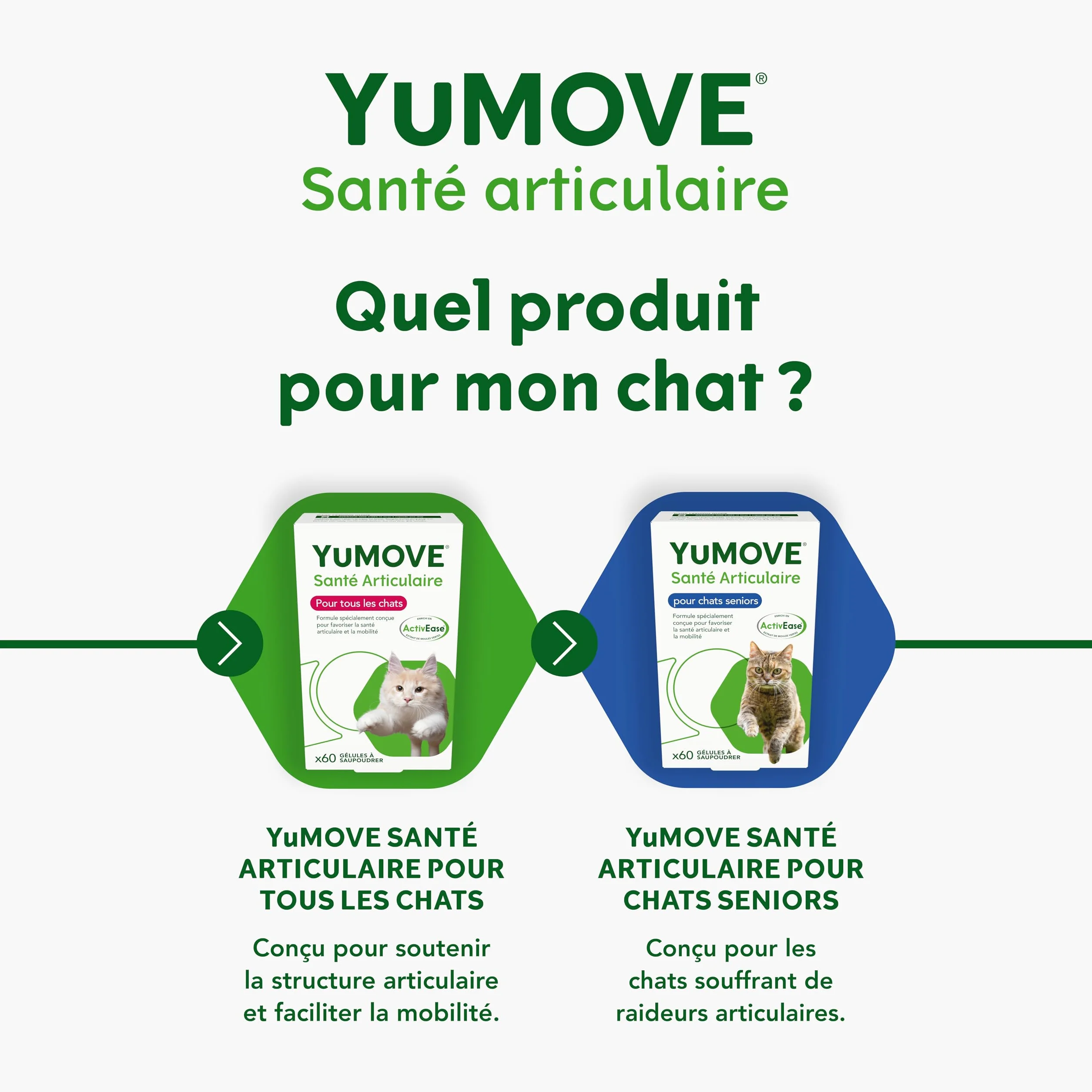 YuMOVE Articulation Chat 8 Ans et Plus – 60 Gélules à Saupoudrer – Glucosamine Chondroïtine & Huile de Poisson pour Chats Âgés