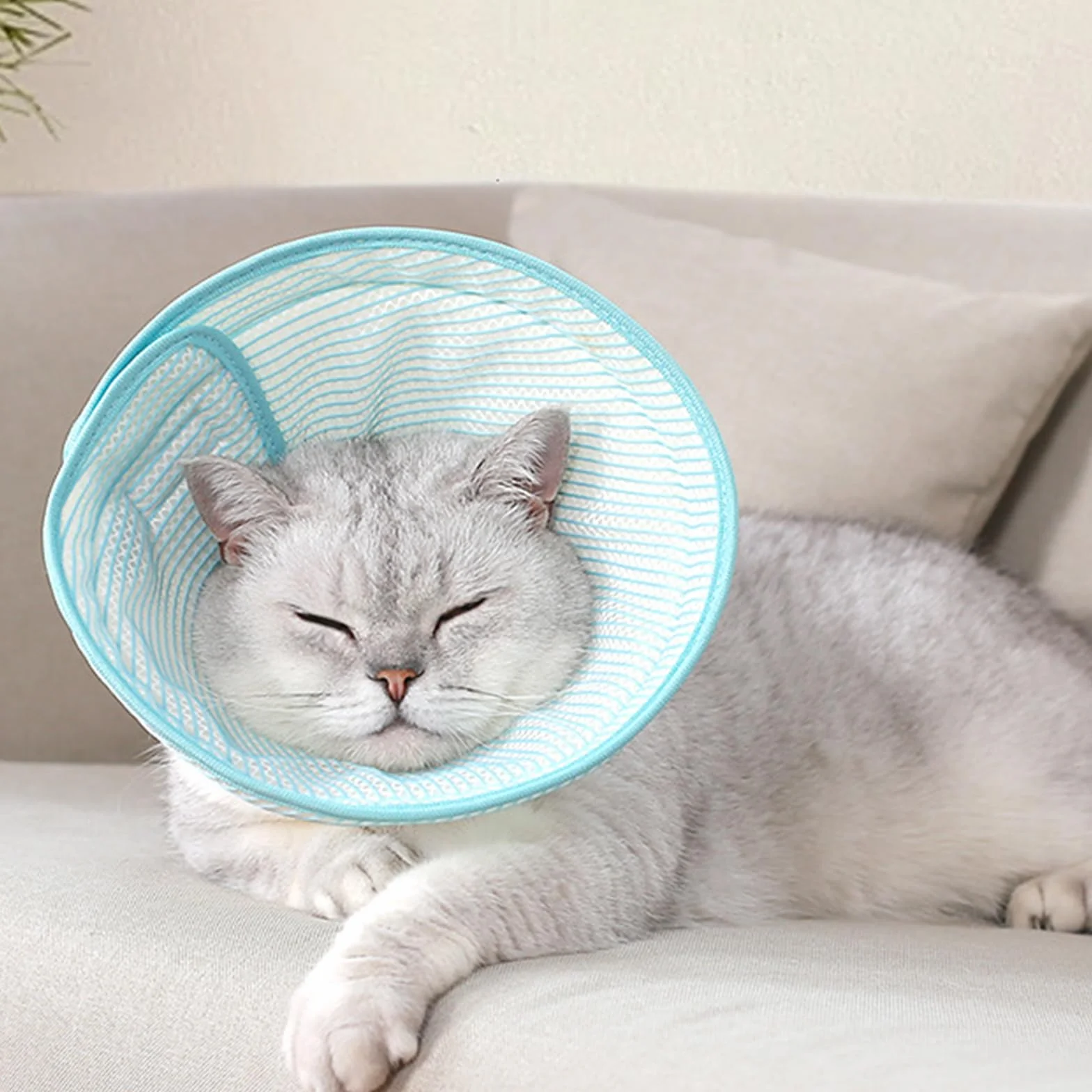 Réglable Collerette Chat Anti Lechage Après Chirurgie en Tissu Souple Léger Bleu