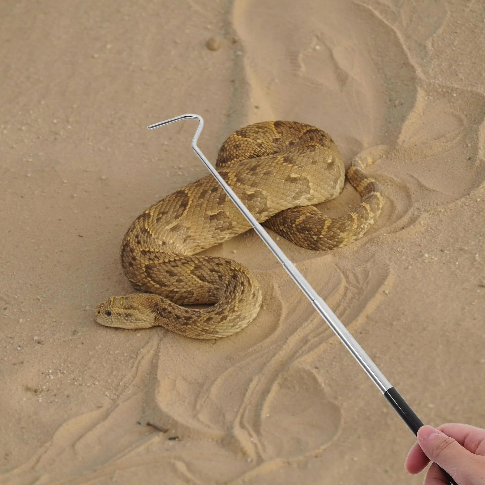 Homoyoyo Crochet Serpent en Acier Inoxydable Rétractable Noir Outil Portable pour Attraper Serpents