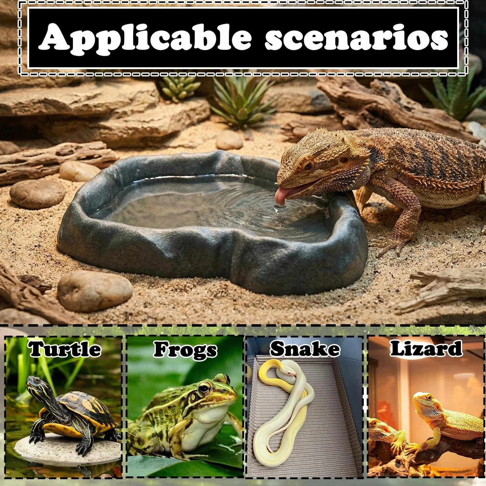 Abreuvoir Tortue Terrestre, Gamelle Eau/Nourriture Plastique 2 Pièces pour Terrarium Reptile