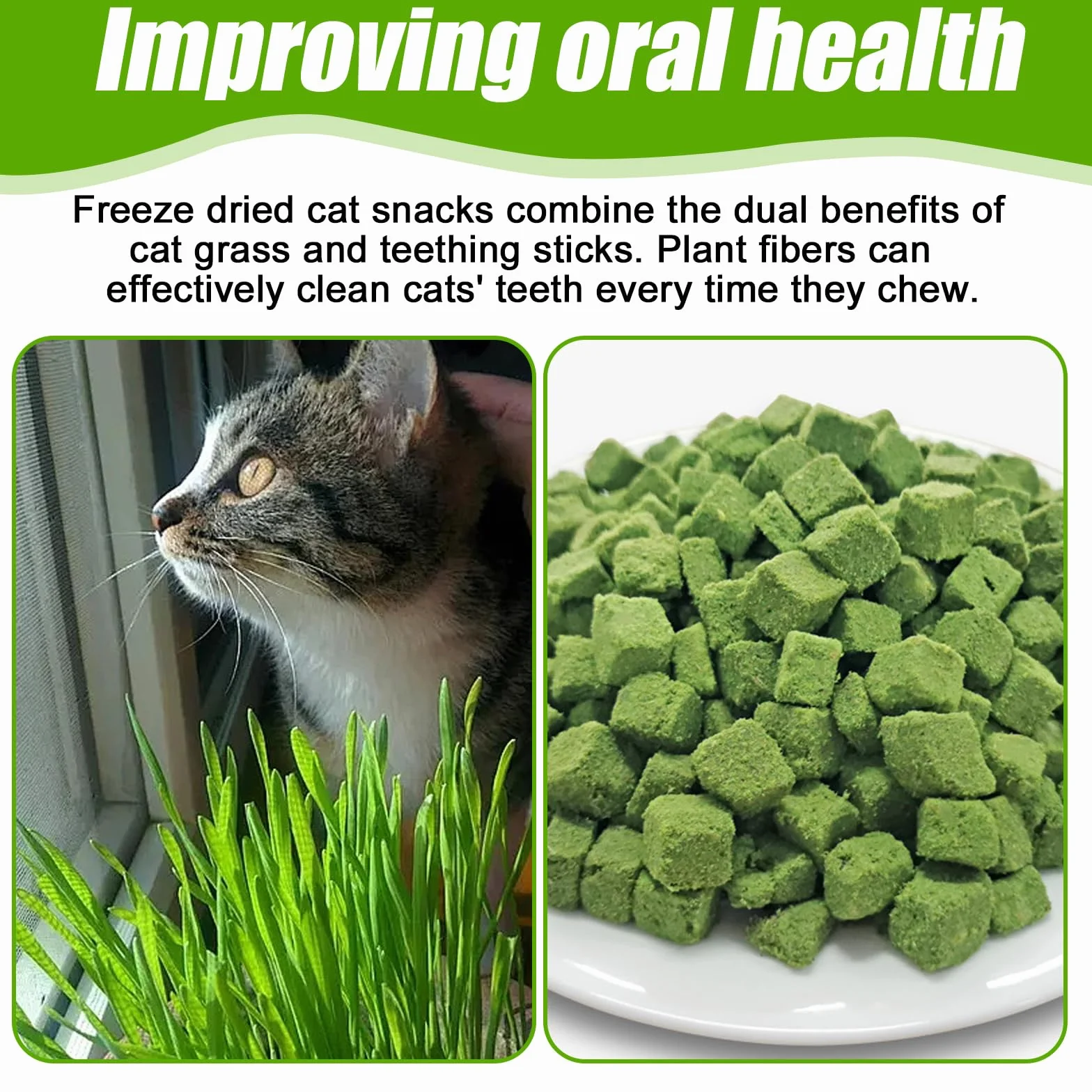 BAIFULAI Lot de 2 sachets d'herbe à chat lyophilisée 200 g pour soins dentaires et élimination des pelotes de poils