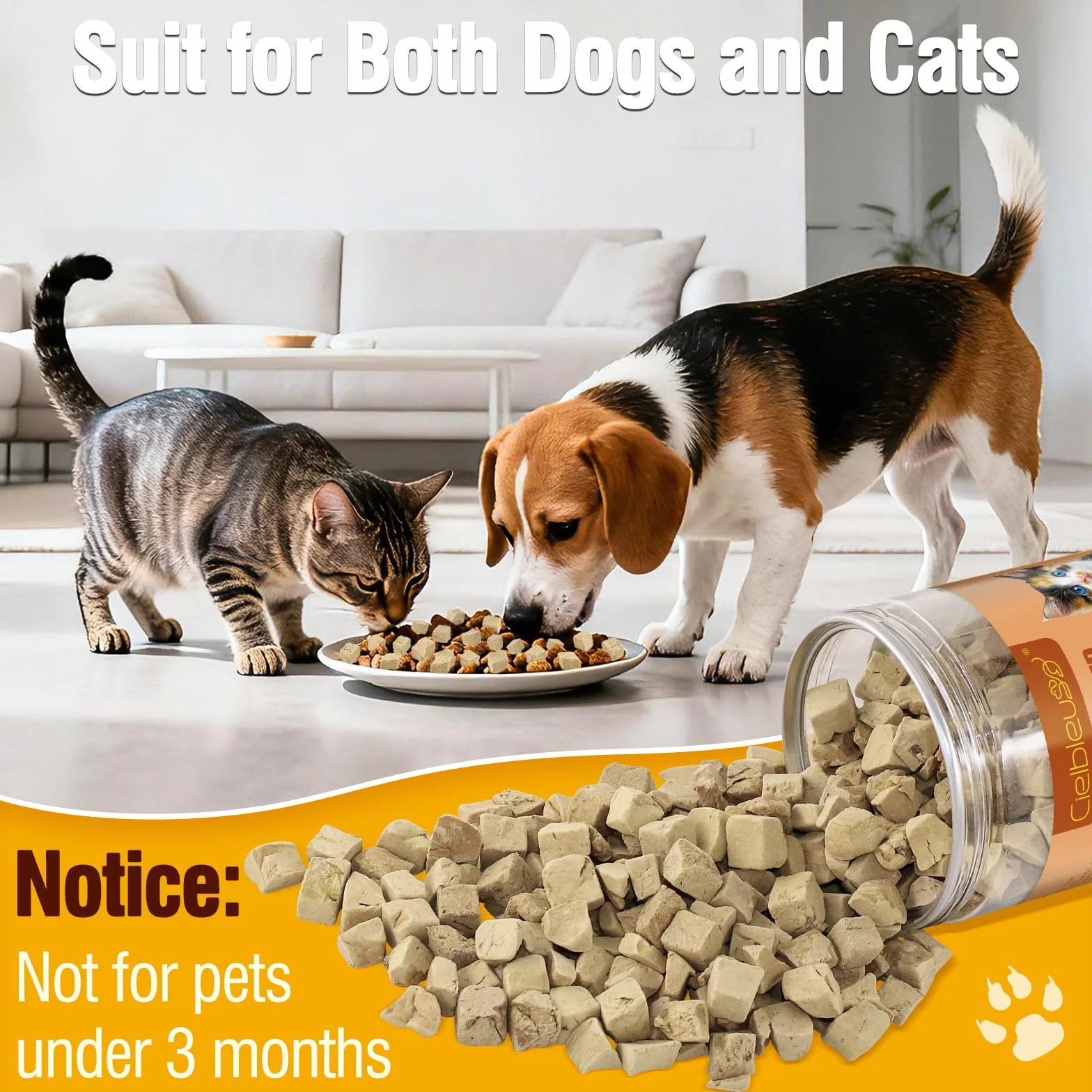 Friandises Lyophilisées pour Chats 110g 100% Foie de Poulet Riche en Protéines