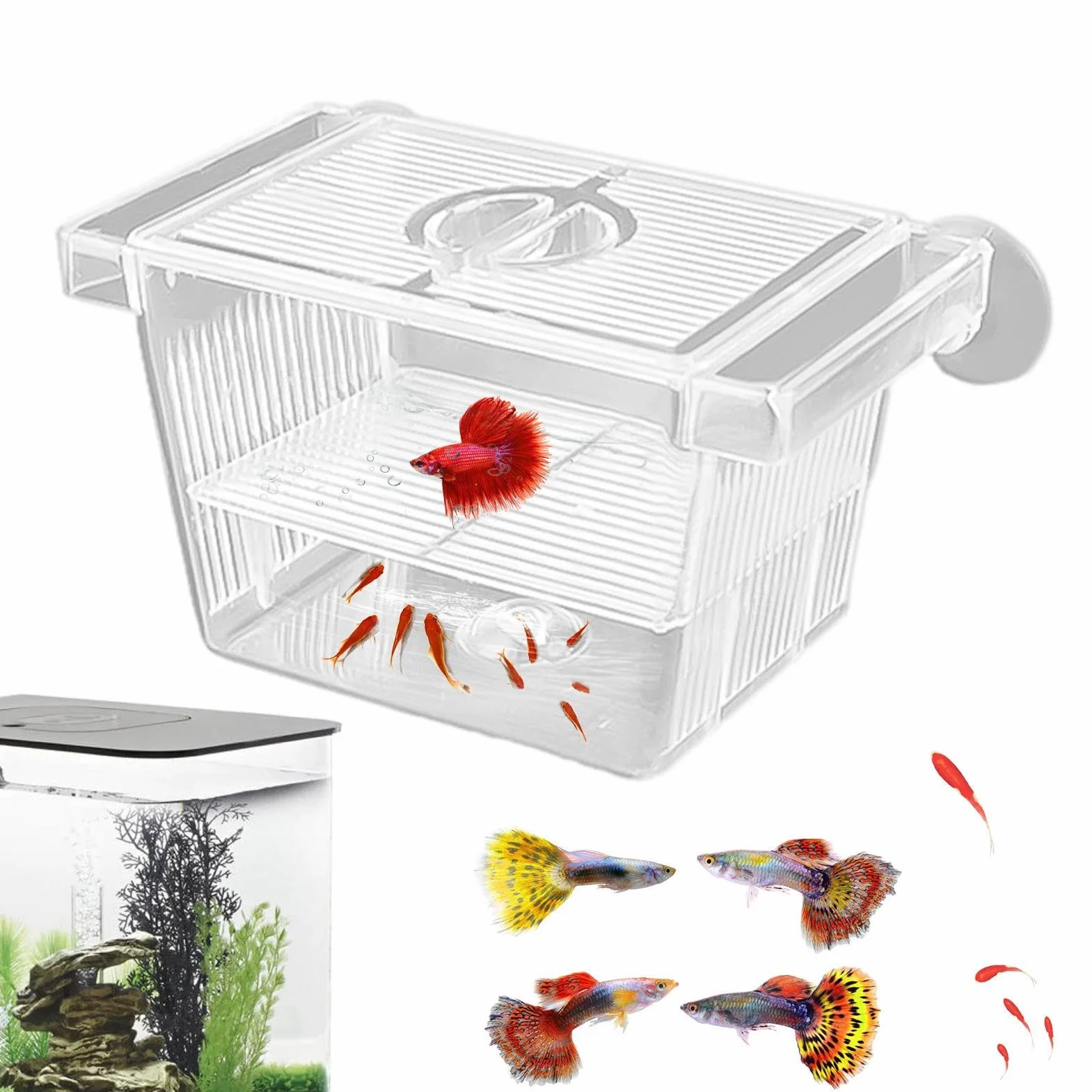 Boîte d'Élevage et d'Isolation Transparente pour Poissons - Incubateur d'Aquarium en Acrylique pour Betta, Crevettes et Guppy