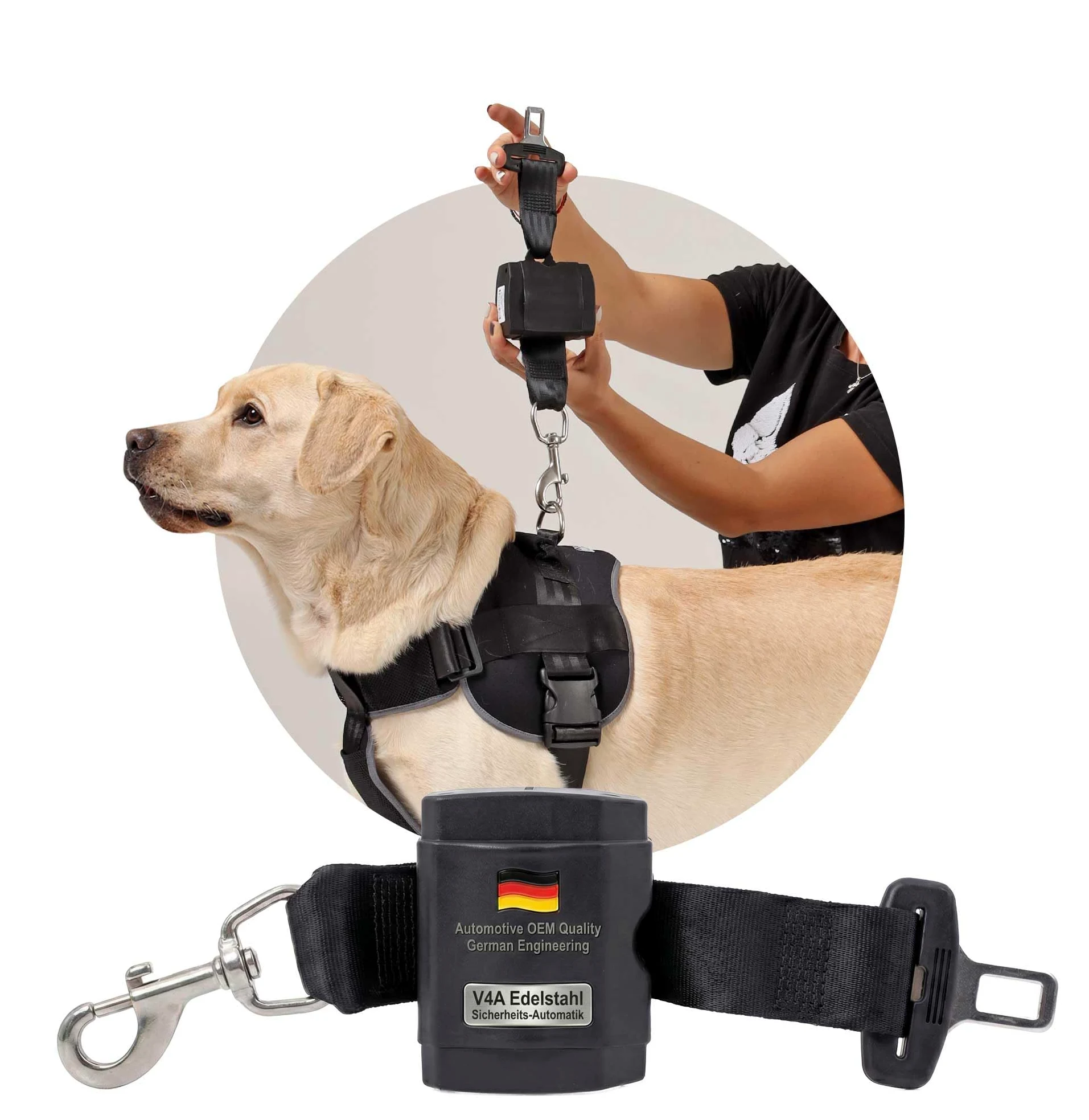 Ceinture de sécurité Extensible pour Chien/Ceinture de sécurité pour Chien de Taille Moyenne et Grande/Ceinture Sangle pour Chien