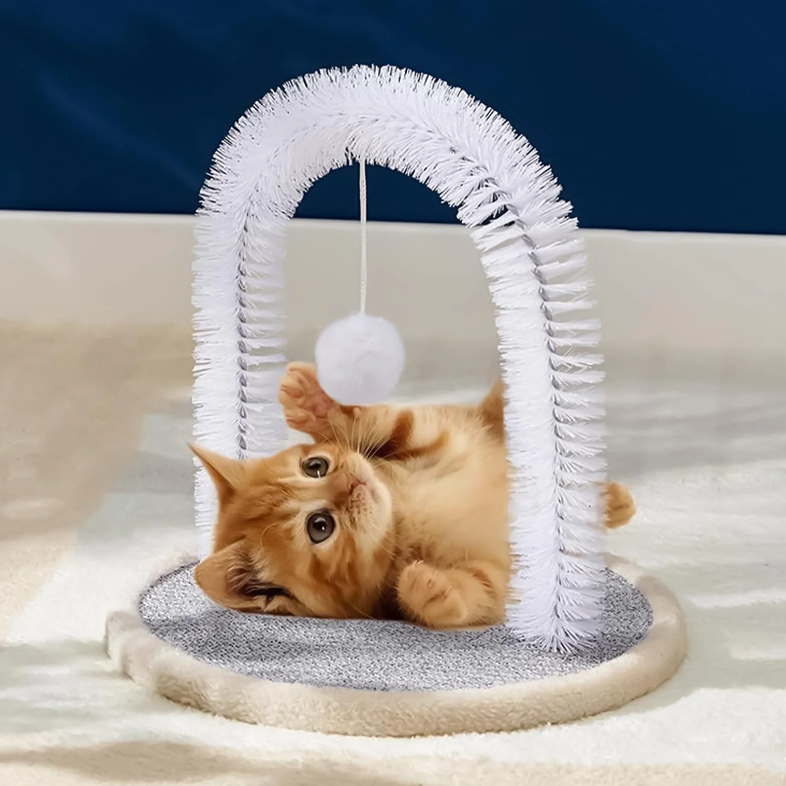 Brosse Autogrooming Pour Chat Avec Coussin Grattatoire Résistants aux Morsures Accessoires Toutes Tailles