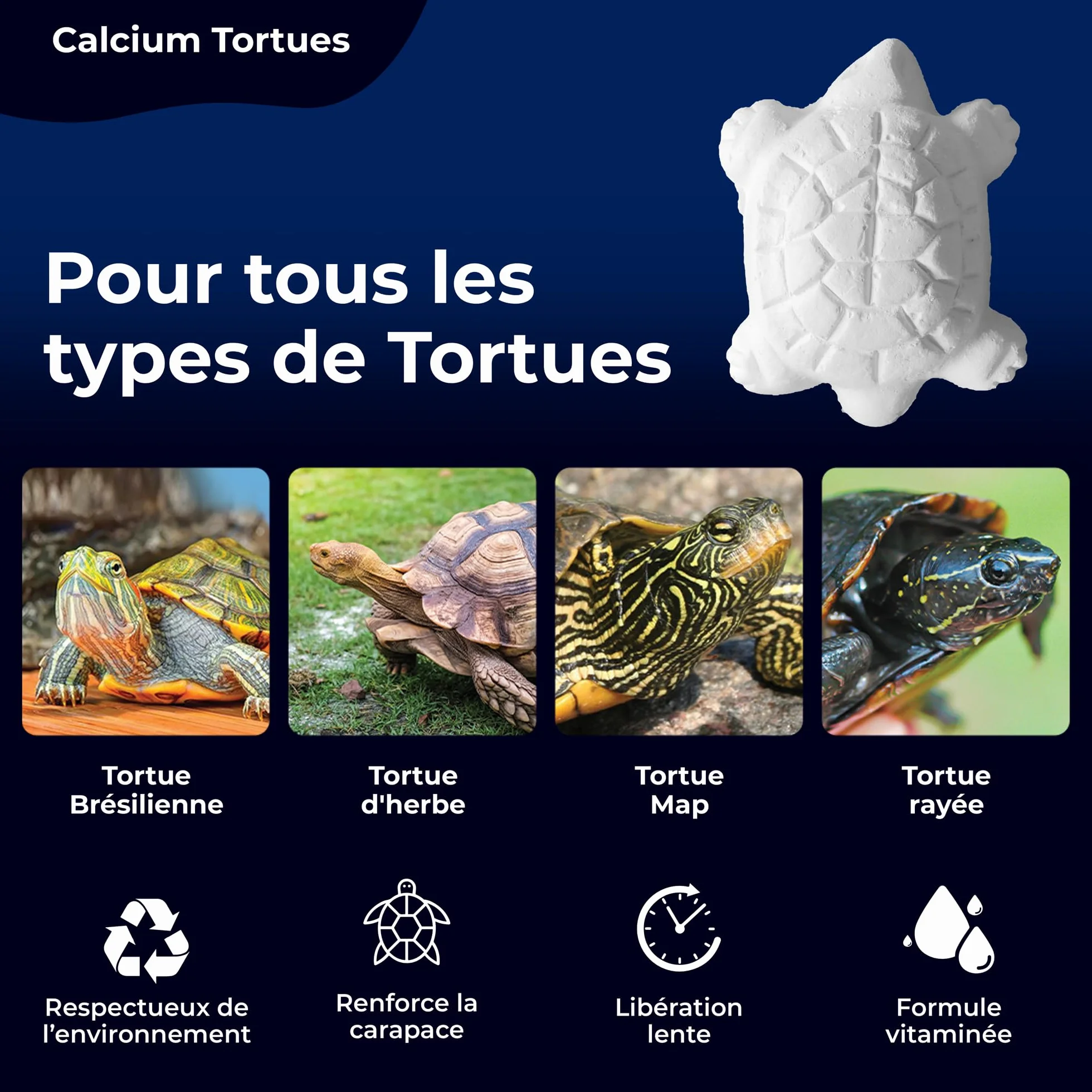 AF® Os de Seiche Tortue Alternatif, Pack 4 Pièces Calcium Tortue Terrestre et Aquatique, Bloc Minéral Libération Lente, Carapace Forte et Eau Propre, Formule Vitaminée Naturelle