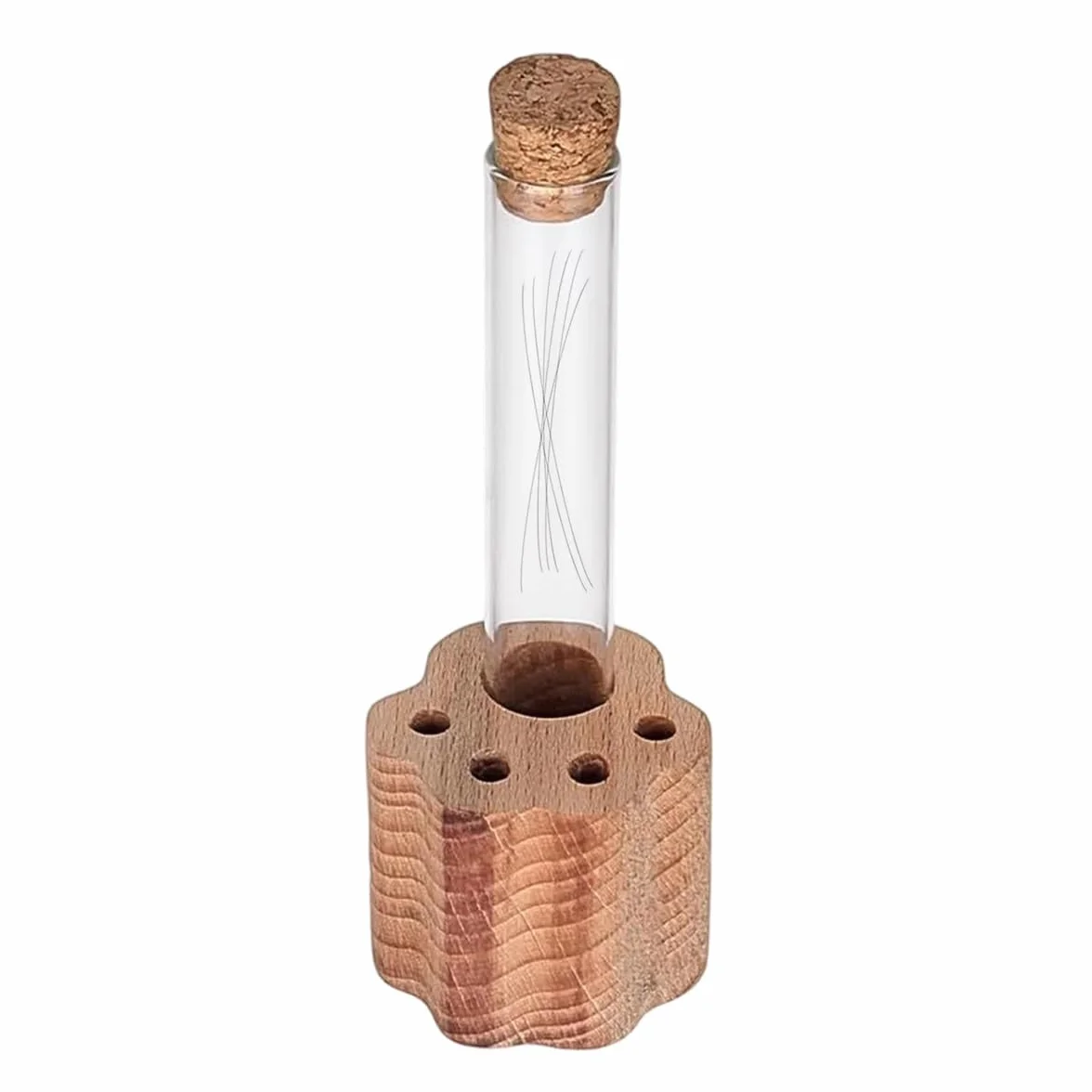 Boîte commémorative pour poils d'animaux avec tube à essai, support pour moustaches de chat