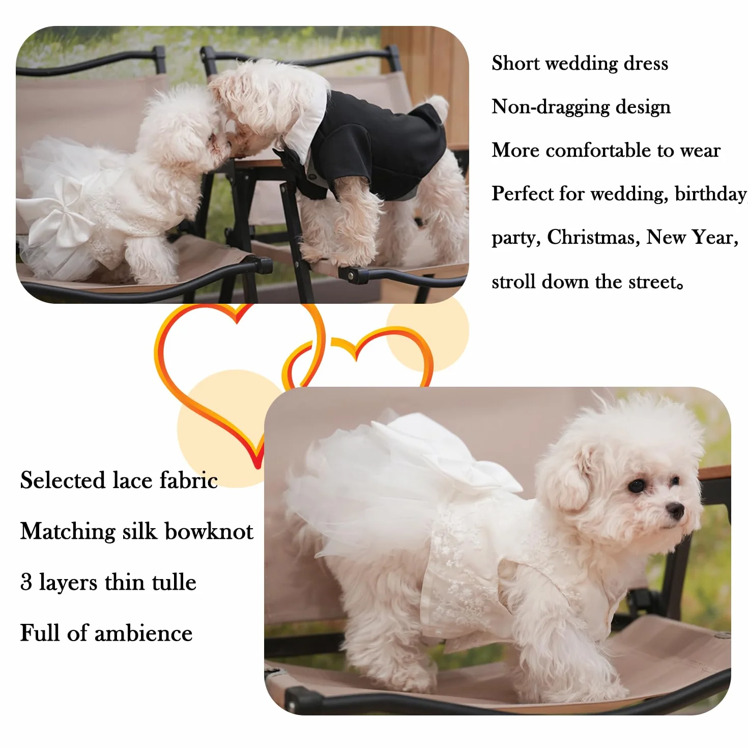 Robe de mariage blanche broderie dentelle jupe tutu princesse chiot petite moyenne taille costume chat 4XL