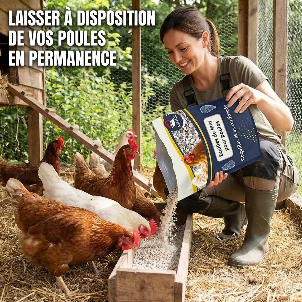 Ani'Nat Ecailles de mer pour Poules Pondeuses et Pigeons Minéraux Calcium Coquilles Solides 3,5kg