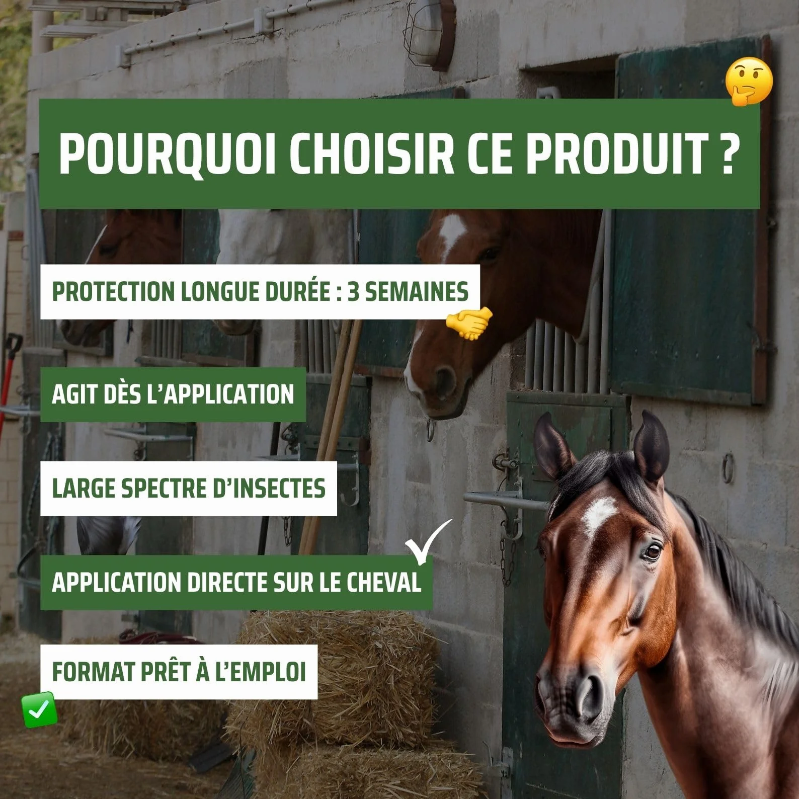 Protecta Répulsif Anti-Mouches Cheval 500mL Protection Longue Durée