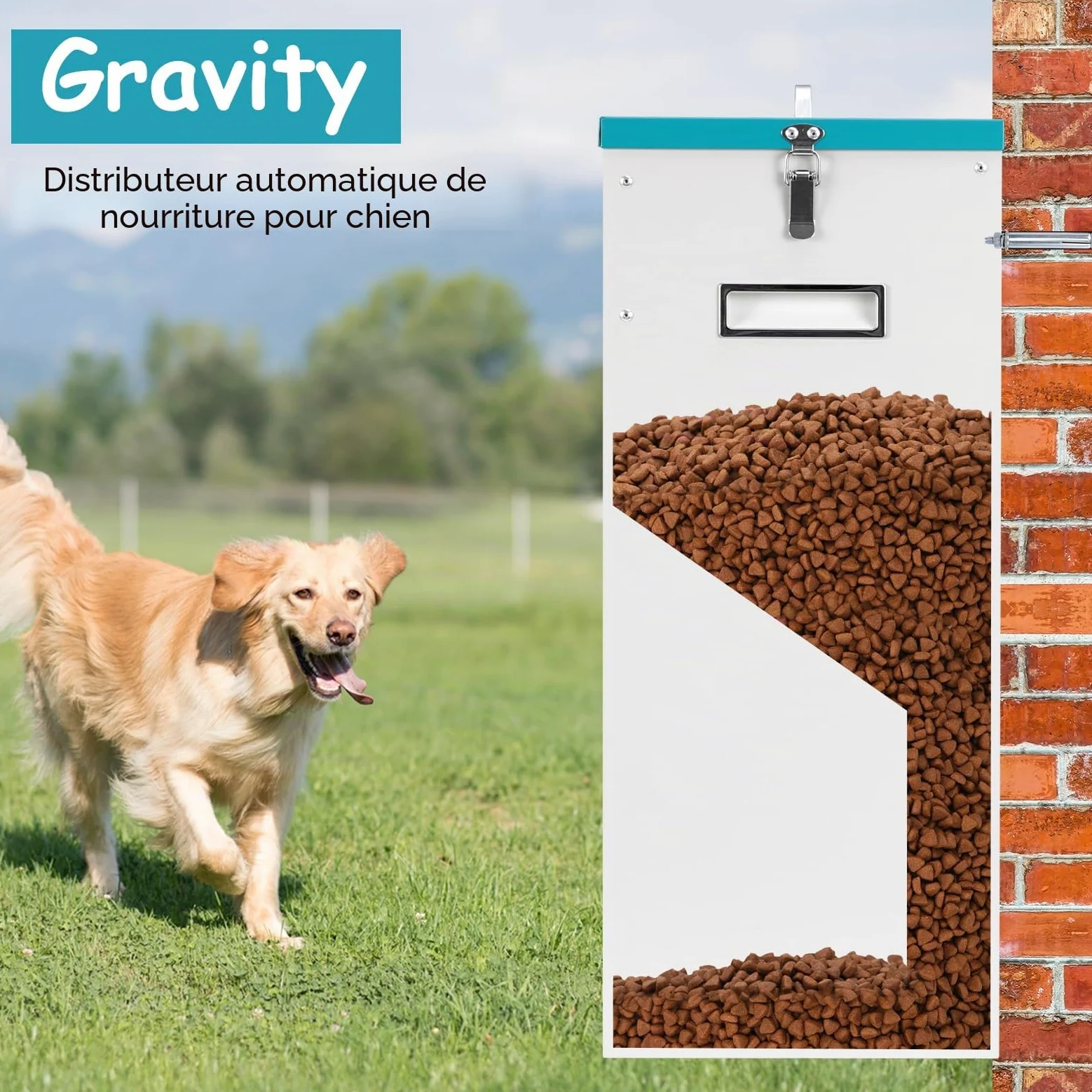 Mangeoire Automatique pour 2 Chiens, Distributeur de Nourriture Galvanisé d'une Capacité de 46lbs, Double Mangeoire pour Animaux de Compagnie pour L'extérieur et L'intérieur