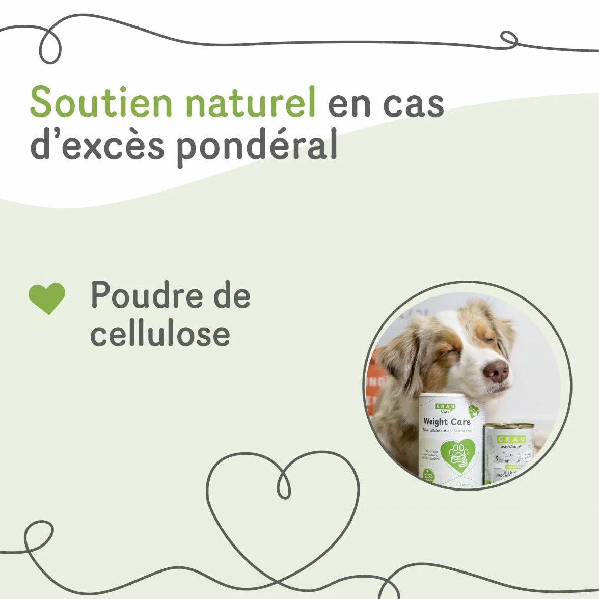 GRAU Weight Care Aliment Complémentaire pour Chiens et Chats 600 g