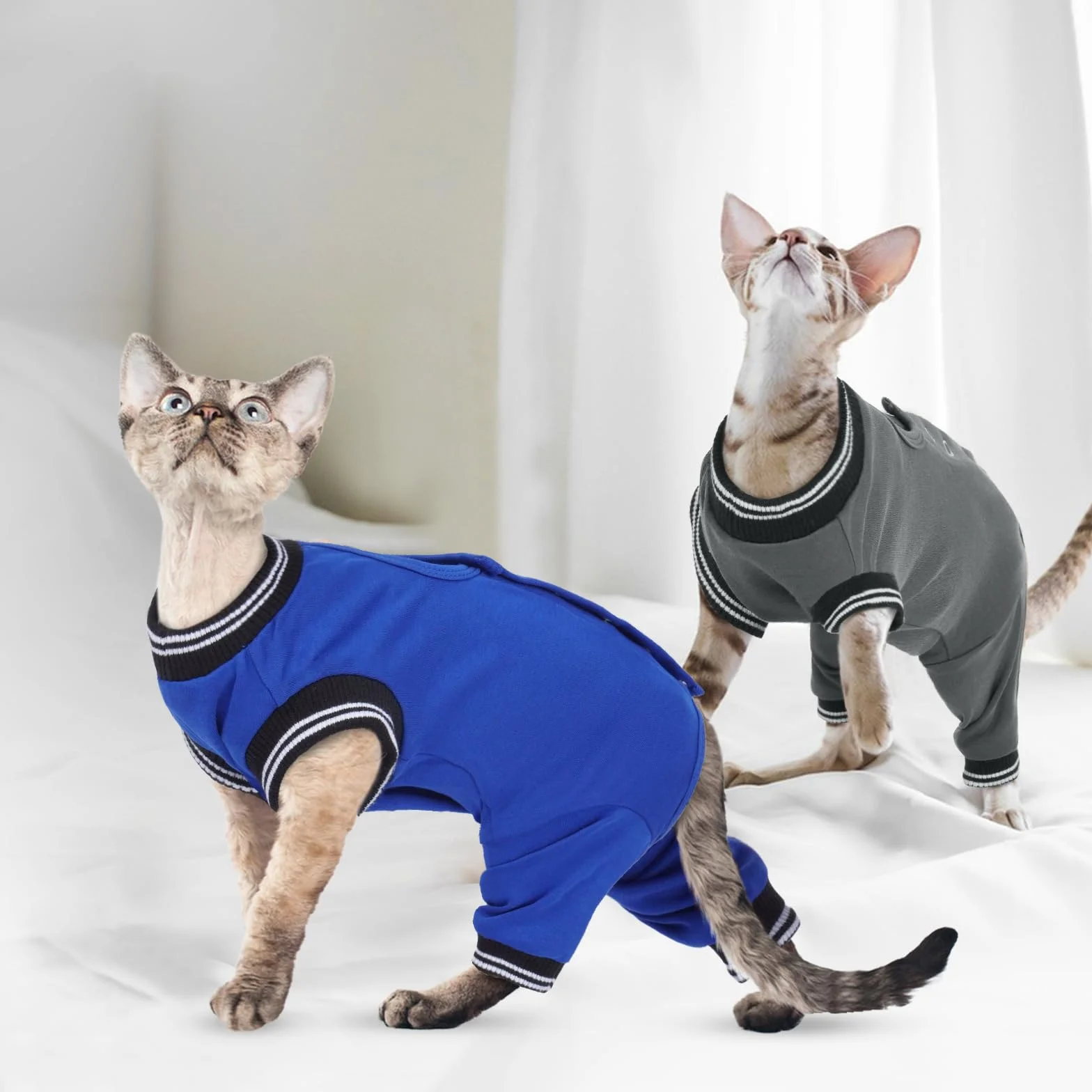 Combinaison Post-Opératoire Femelle Anti-Léchage pour Chat Gris Taille S