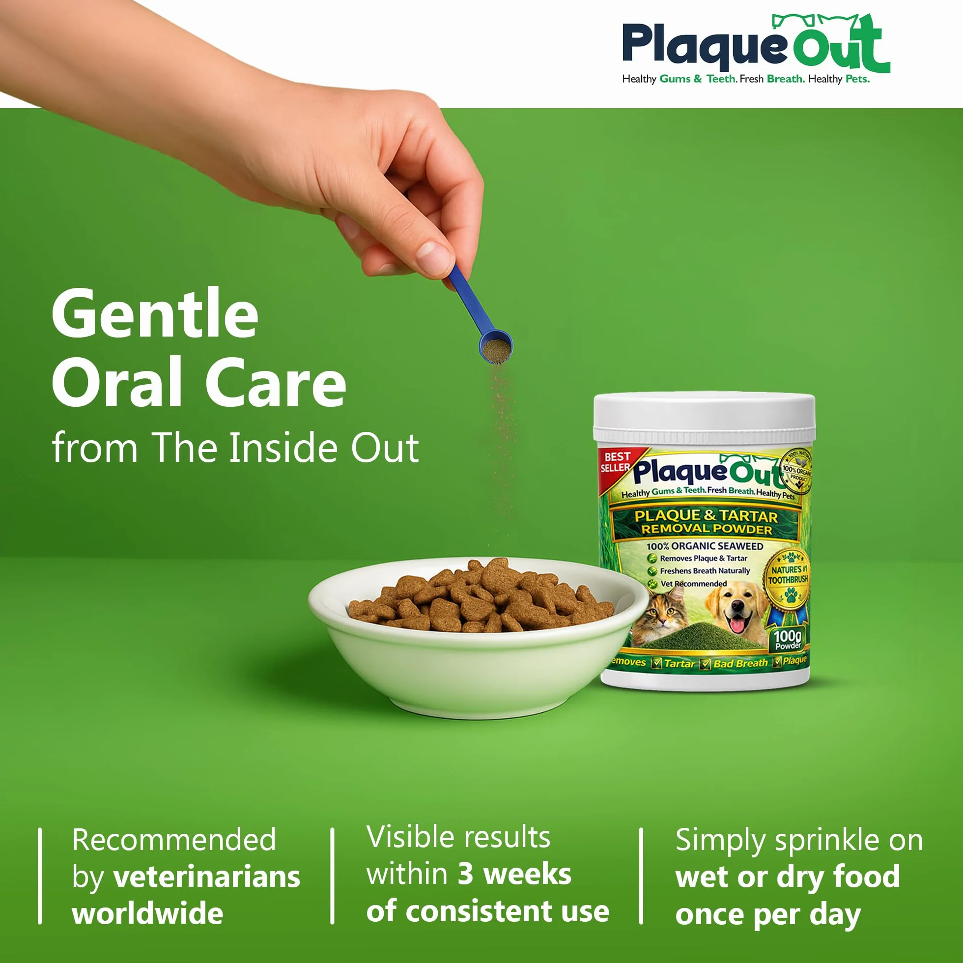 Plaque Out – Produit permettant d’éliminer la plaque dentaire et le tartre chez les chiens et les chats - Livraisons gratuite- Pot de 100g - Multi-Mite ®