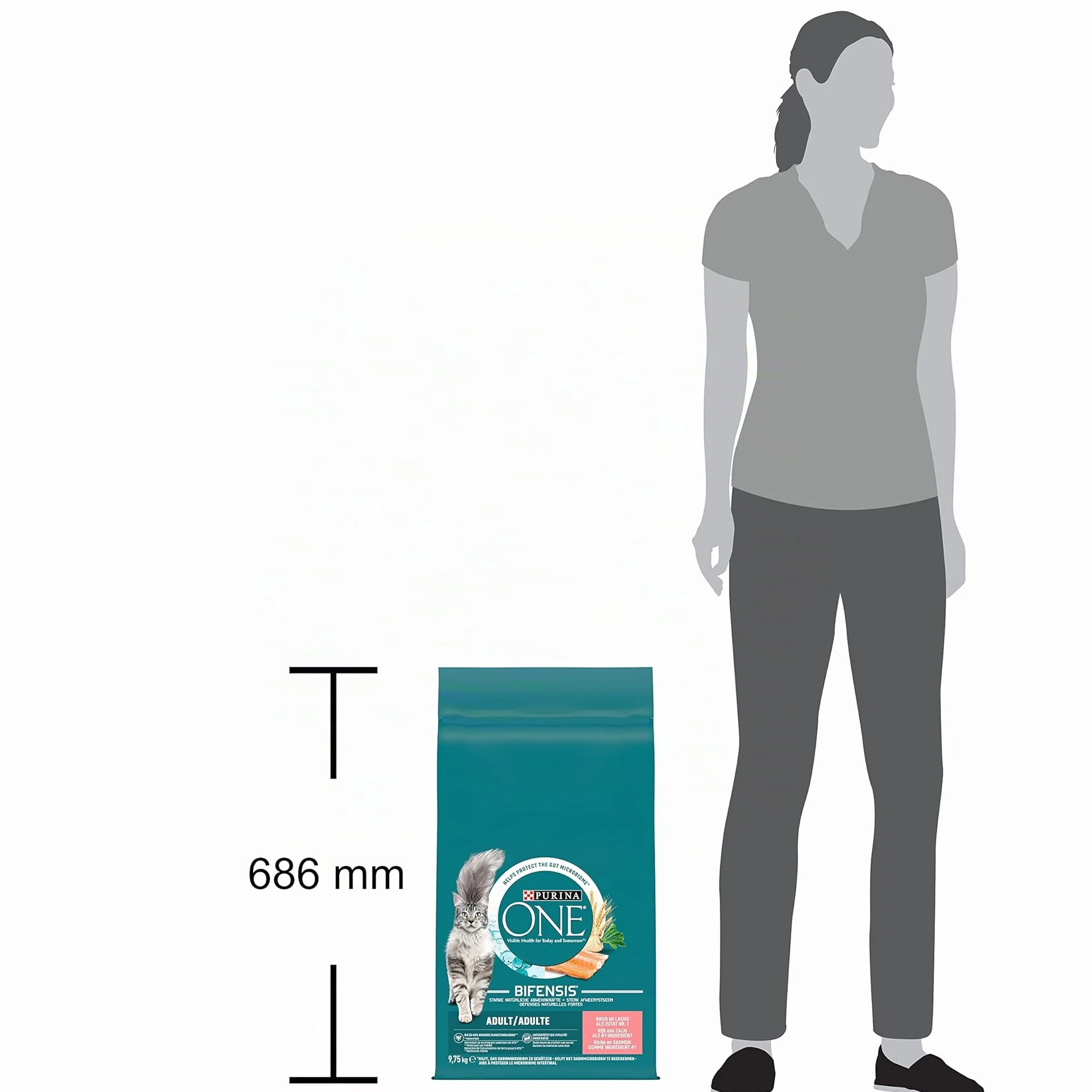 PURINA ONE BIFENSIS Croquettes Chat Adulte Stérilisé Au Saumon 9,5kg
