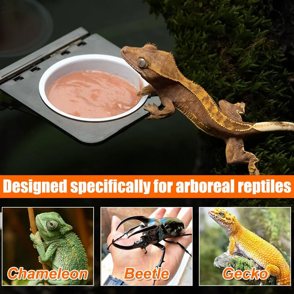 DONGKER Gamelle à Eau et Nourriture pour Reptiles, Mangeoire Magnétique pour Lézard, Tortue, Scorpion, Plat à Eau pour Réservoirs < 4 mm