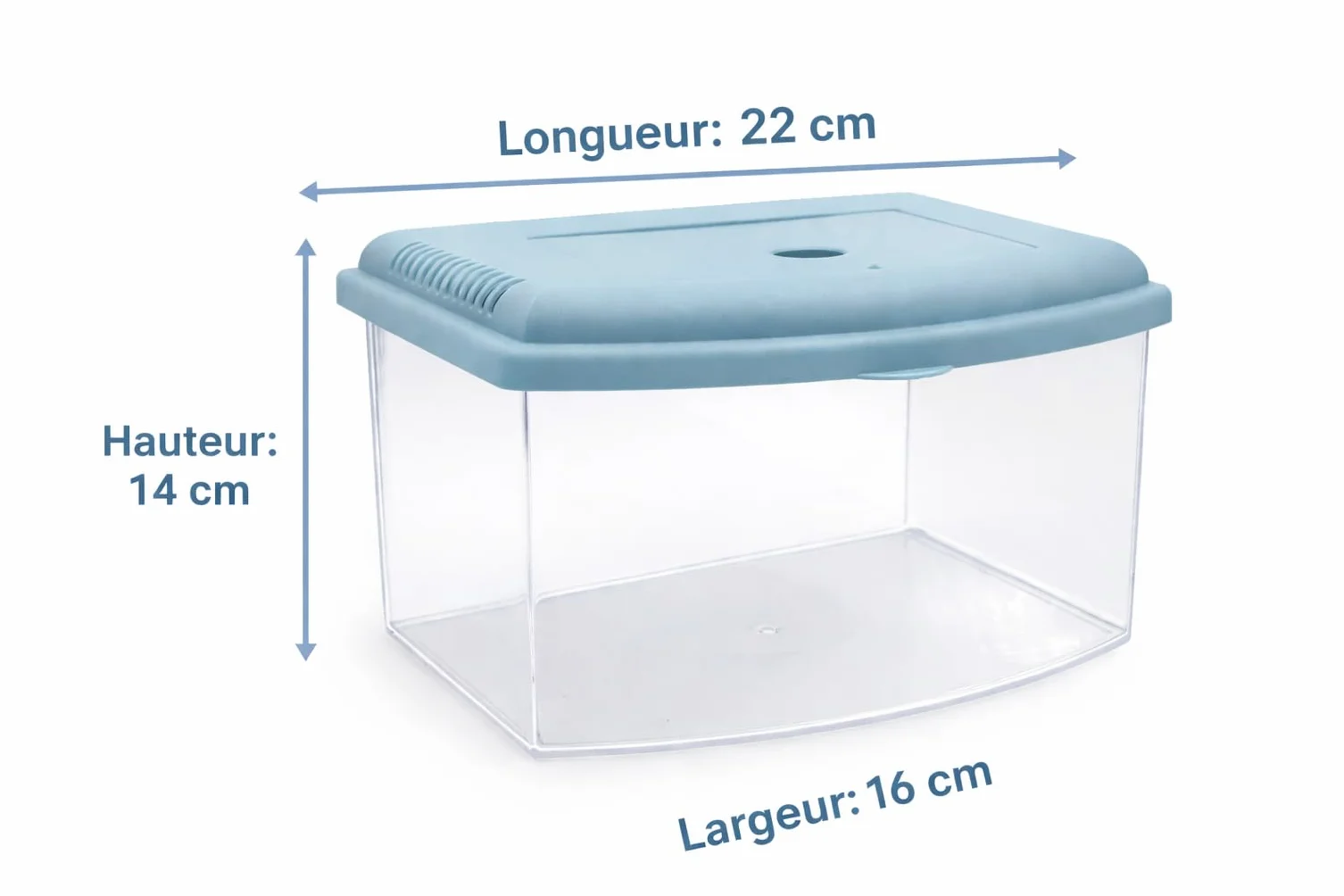 Aimé Boîte Aquarium Plastique de Transport pour Poisson avec Couvercle et Poignée L22 x l16 x h14 cm