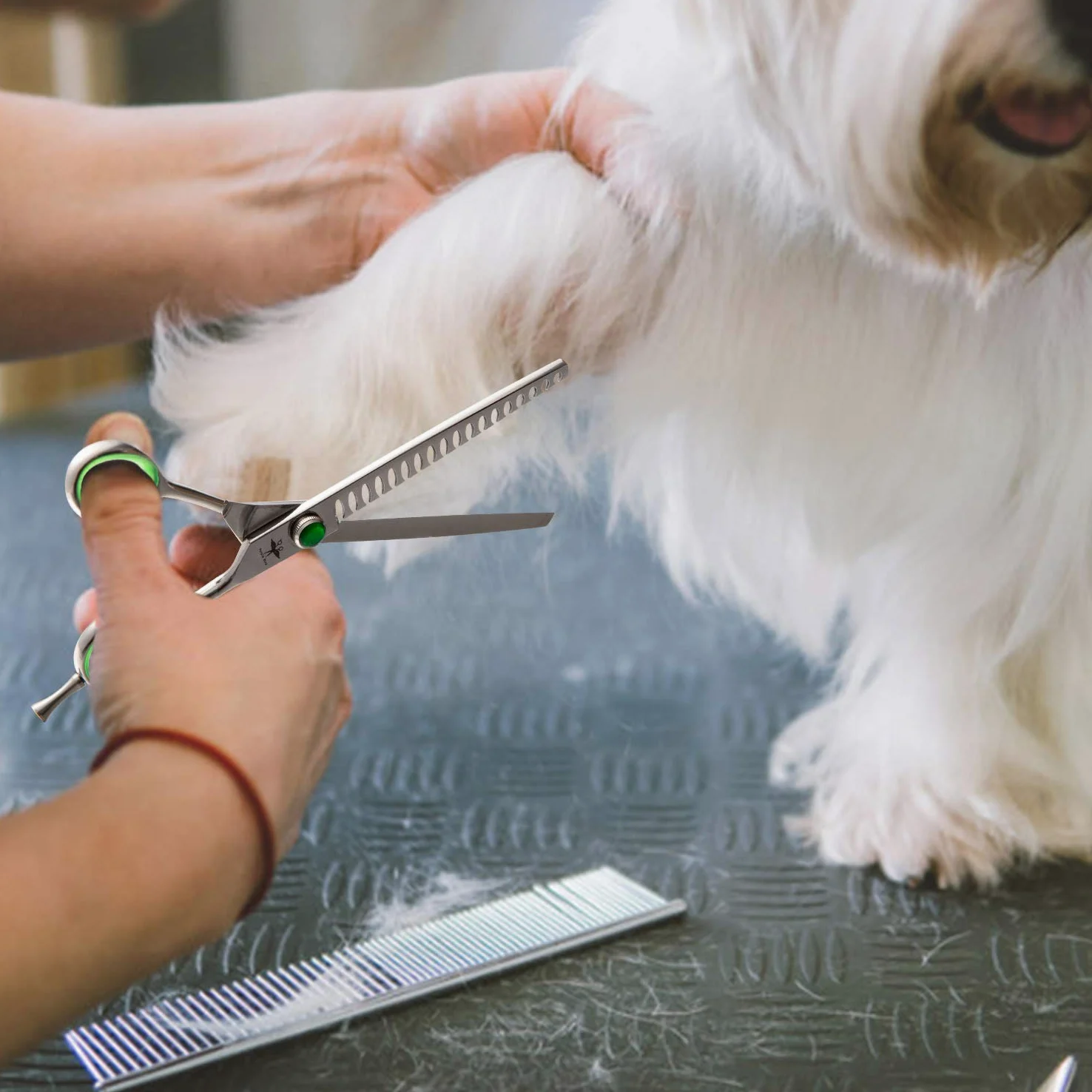 Set de Ciseaux Toilettage Professionnels Ciseaux Désépaissir Chien Poils Long Épais Ciseaux Toilettage Bout Rond Chat Sécurité Inox Incurvé Courbé Ciseaux Poils Animaux Débutant Luxe 7 Pouces Argenté