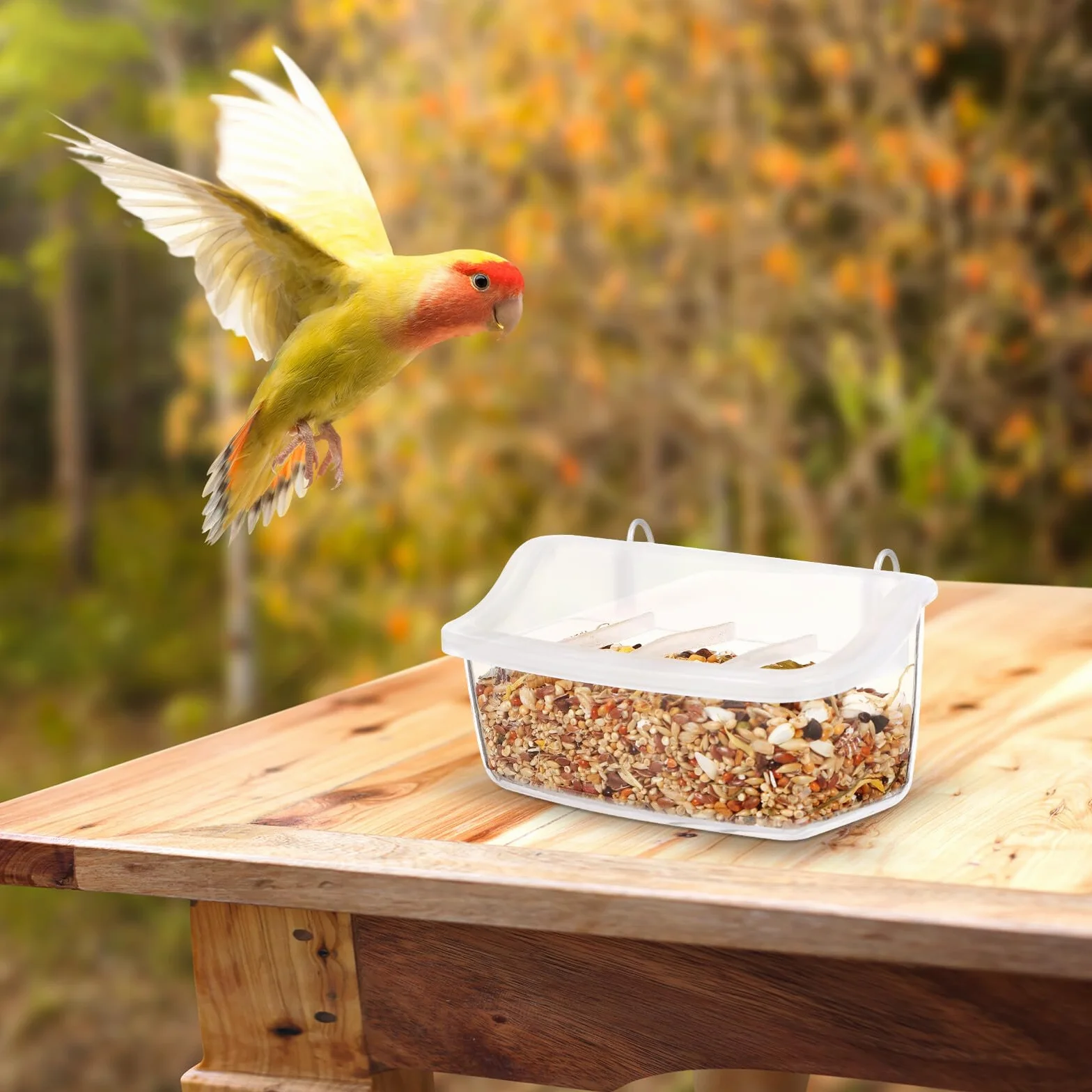 DOITOOL 2 Pièces Mangeoire pour Oiseaux Extérieur Plastique Transparent Suspendue Anti-gaspillage Compatible Cage Perroquets