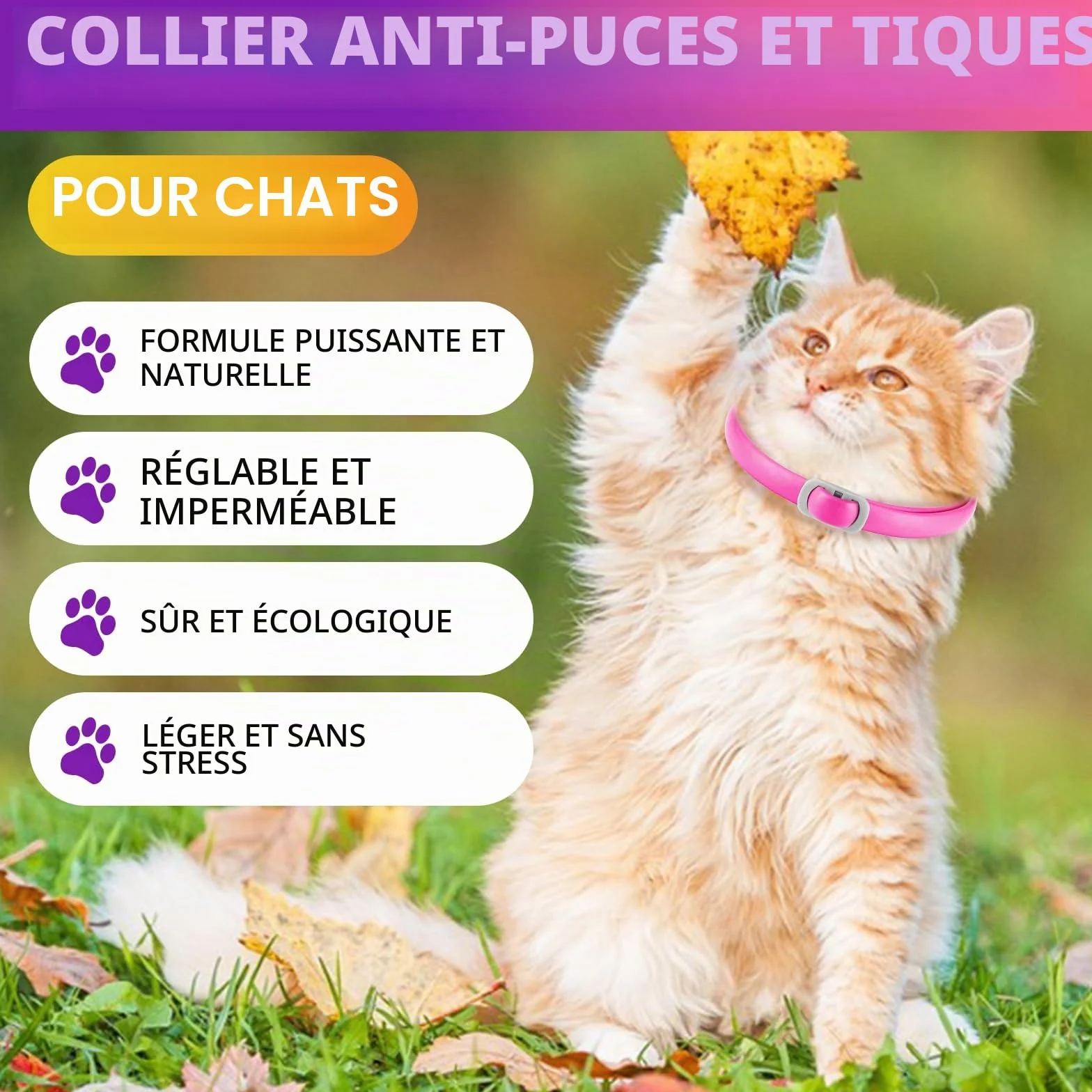 Collier Anti-Puces Chat 4 Pièces Résistant À L'Eau Réglable Protection 24 Mois