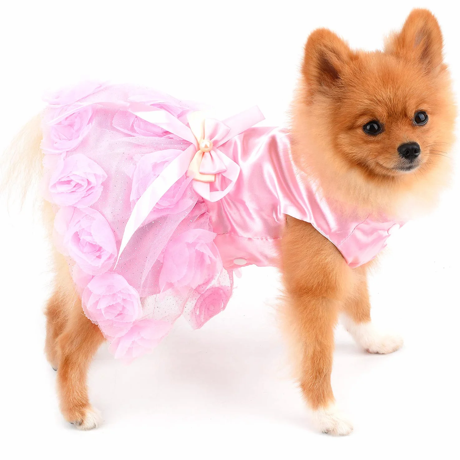 PAIDEFUL Robe pour Petit Chien Fille Jupe Tutu en Dentelle à Fleurs Roses Soyeux Mariée Anniversaire Chihuahua Rose S