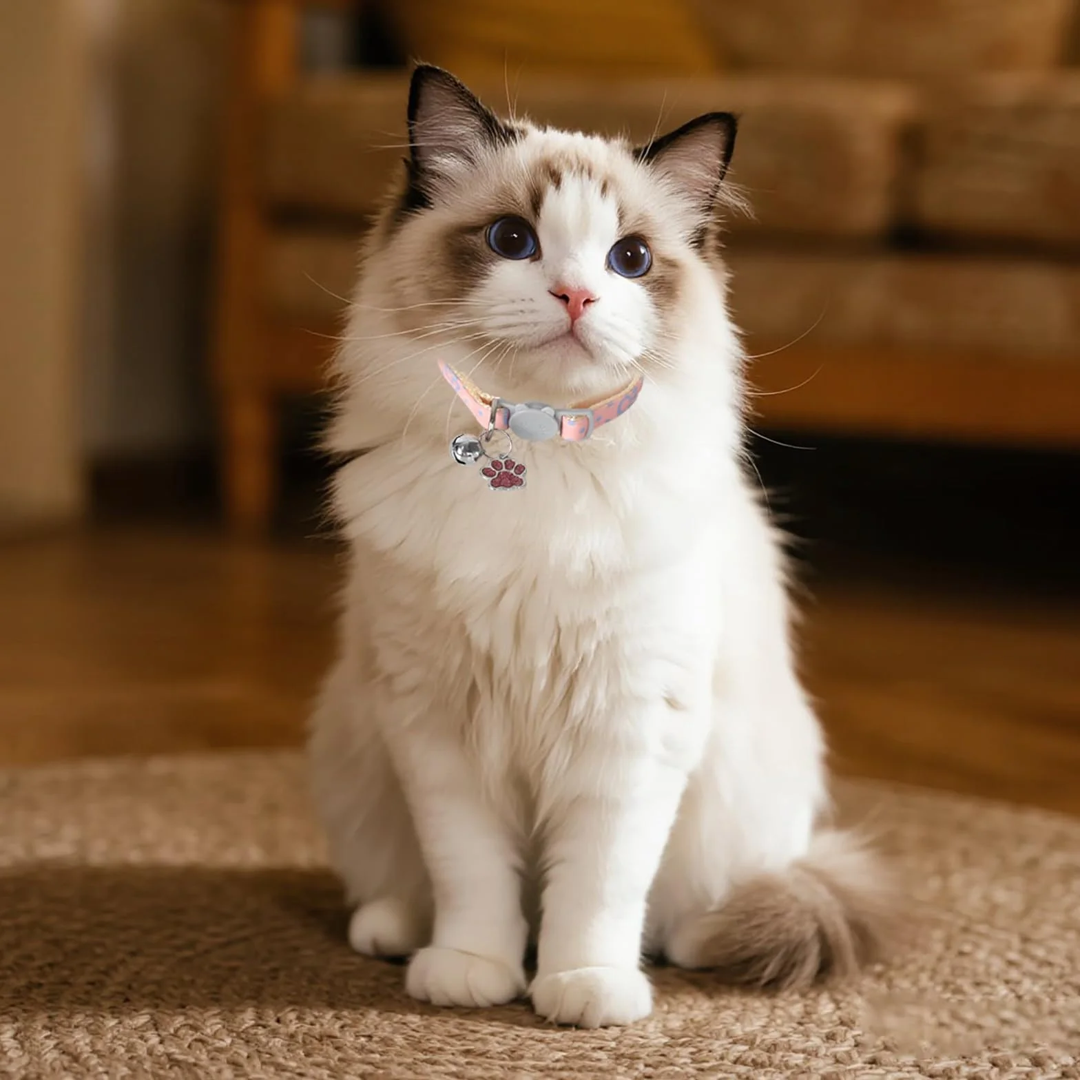 Collier pour Chats Réglable avec Clochette, Boucle de Sécurité, Design Pattes Mignon Rose et Blanc
