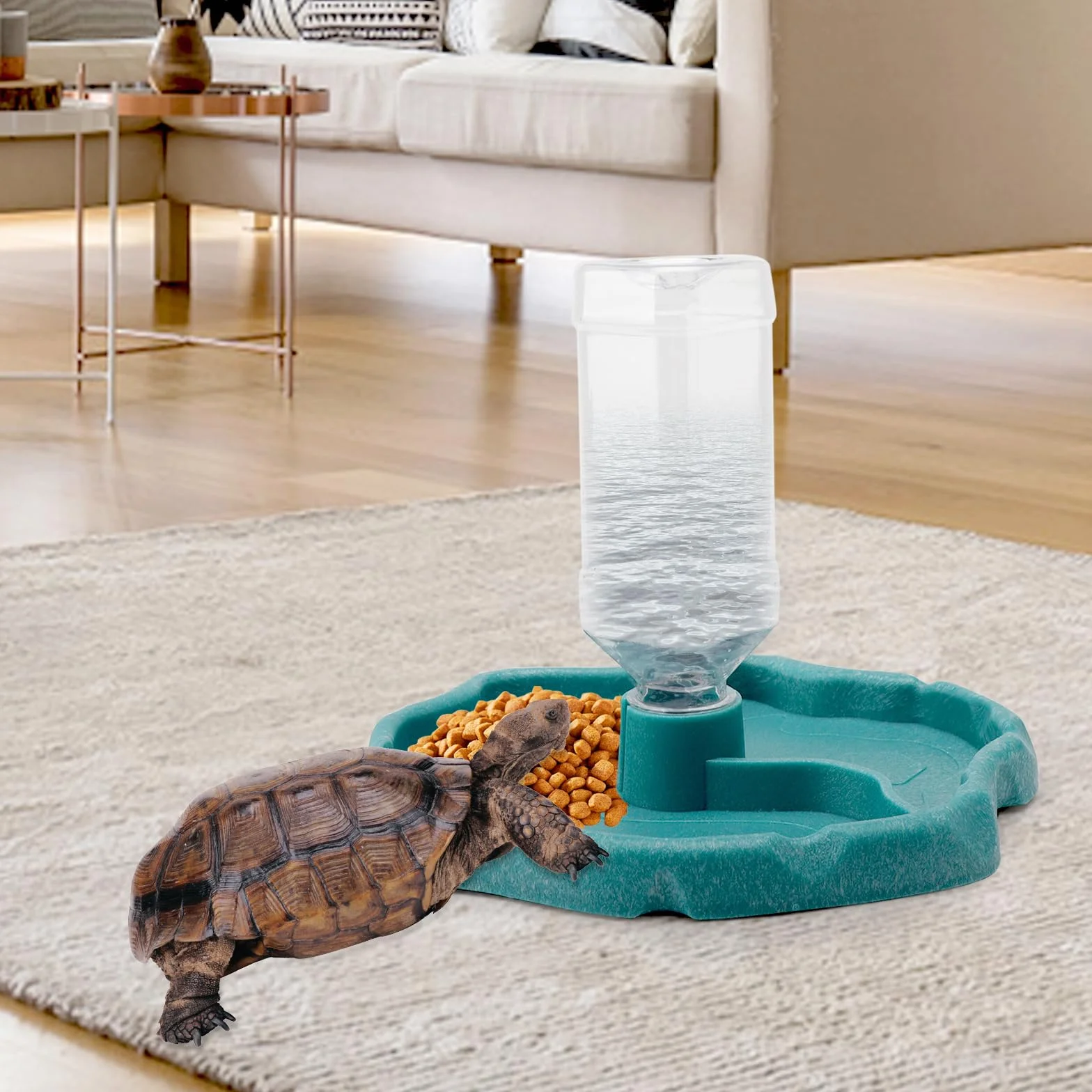 DAWRIS Distributeur d'eau pour Reptile 2 en 1 Abreuvoir Tortue Bols