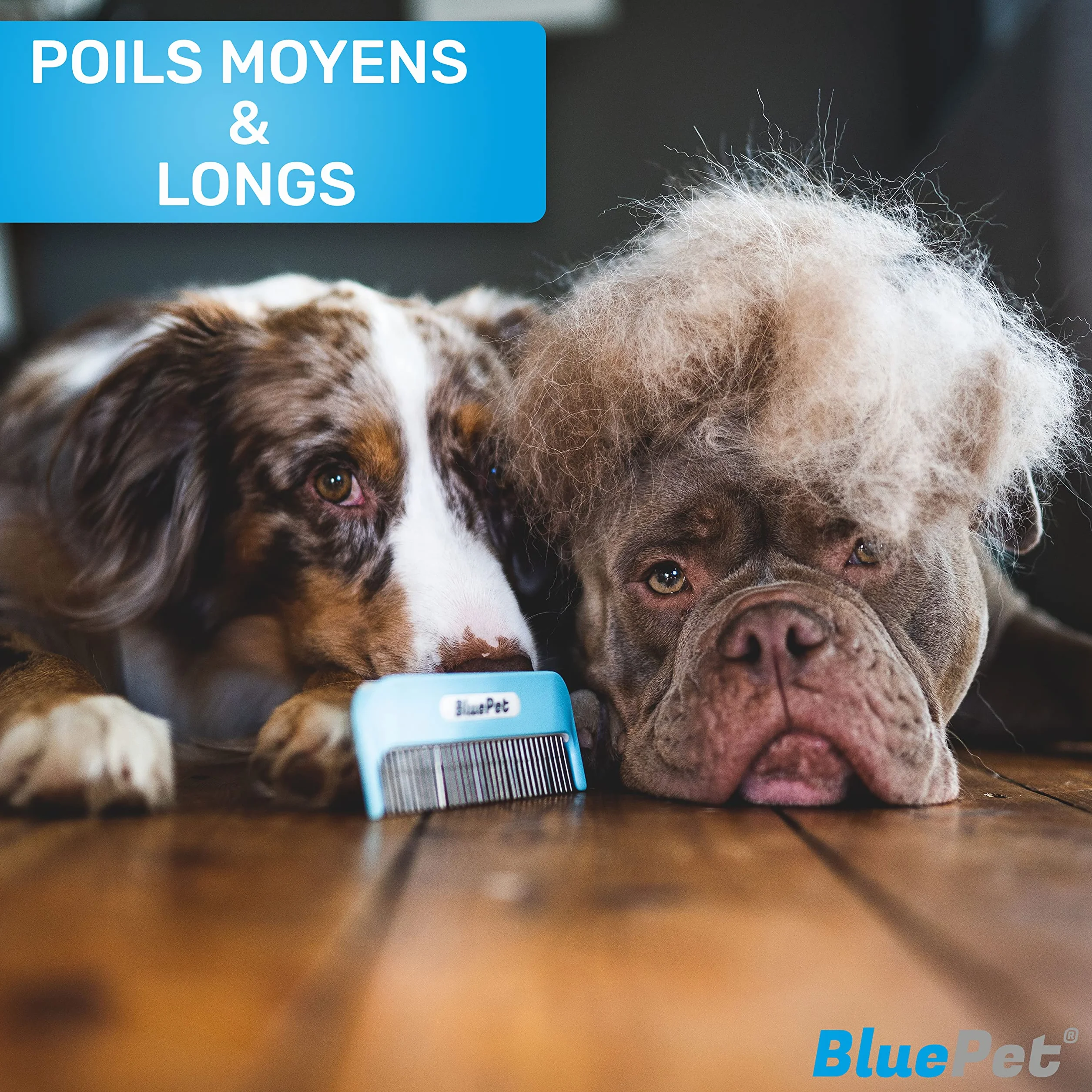 BluePet Peigne Magique Pour Chien & Chat à Poil Long, Brosse Anti Nœud avec Dents Rotatives