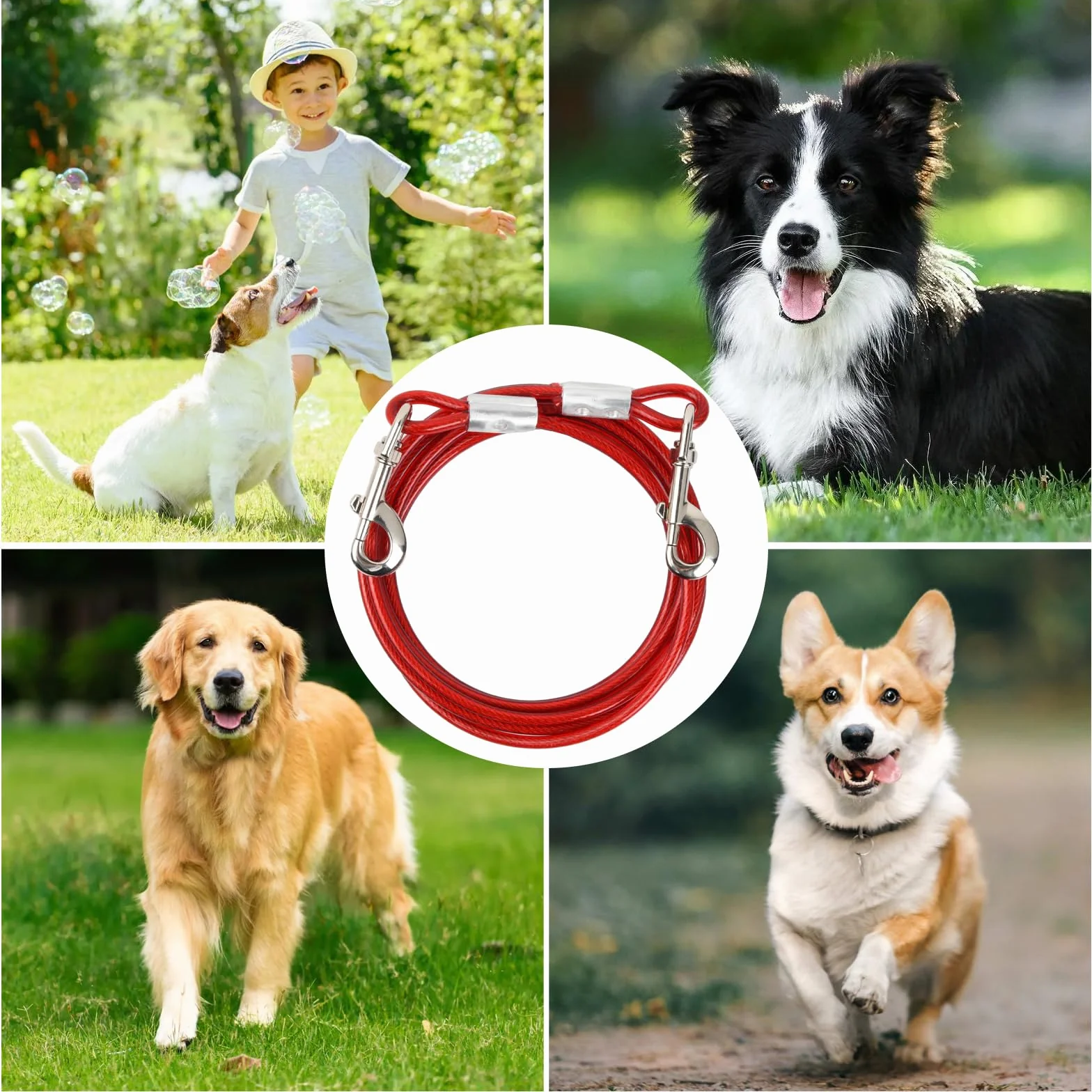 Laisse pour Chien Anti-Morsure 10 m 6 mm Jusqu'à 250 kg Chaîne Sécurité avec Crochet Pivotant Rouge