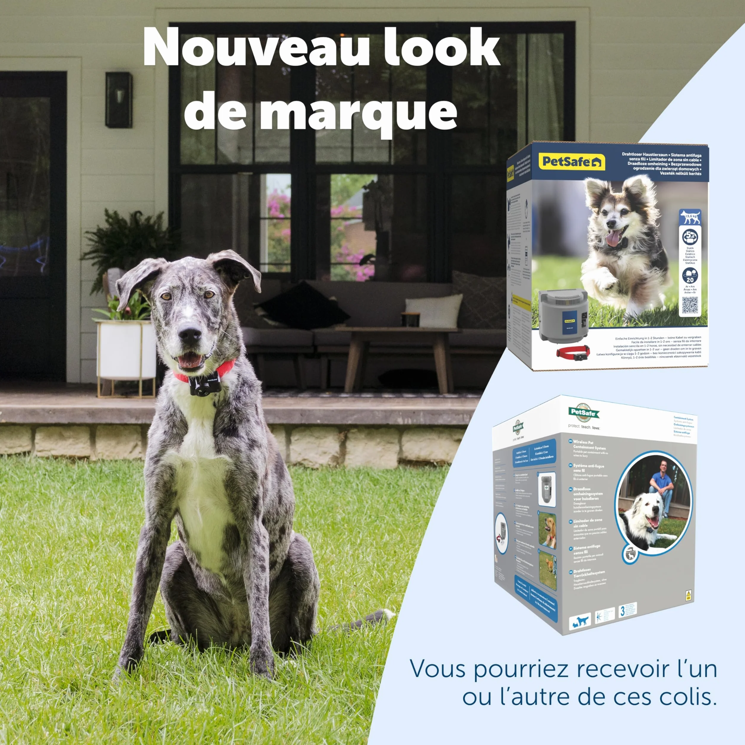 PetSafe Système Anti-Fugue sans Fil Portatif Collier Imperméable 5 Niveaux Stimulation Rayon 27.5m Pile
