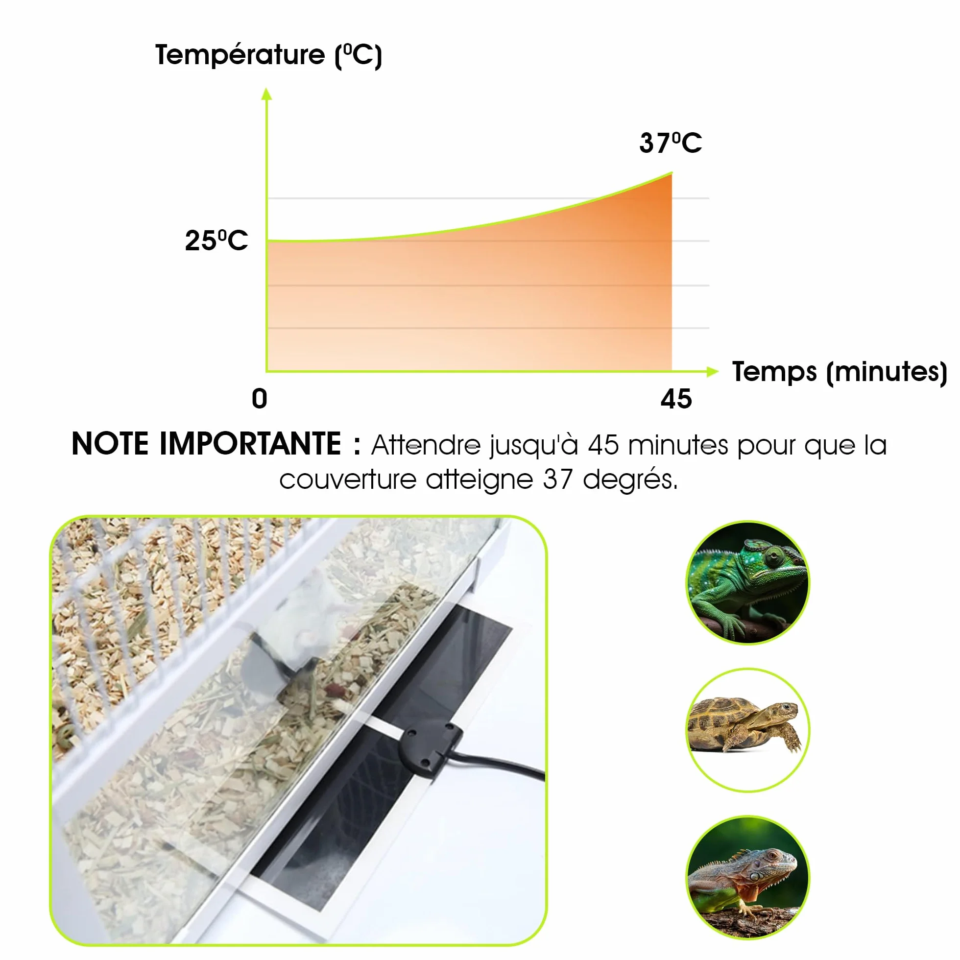 Fallcon Tapis Chauffant Terrarium 7W avec Thermostat - Chauffage pour Reptiles