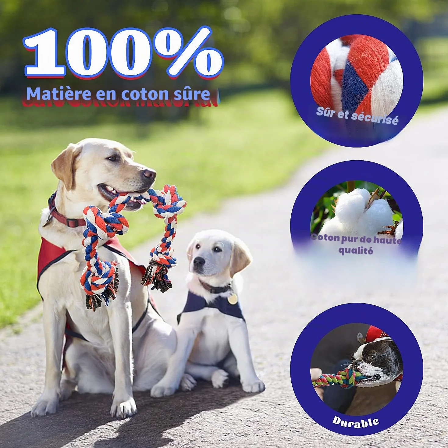 Jouets en Corde pour Chien XL (extrêmement durables et Solides) pour Chiens de Grande et Moyenne Taille - Jouets DE Chien Extra Grands pour Les CHEWERS agressifs