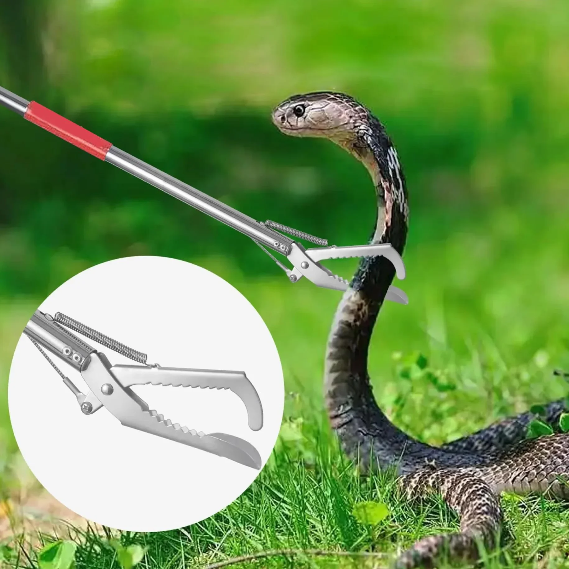 Snake Grabber Tool 50 3 Sections Acier Inoxydable Portable pour Anguille Poisson Reptile