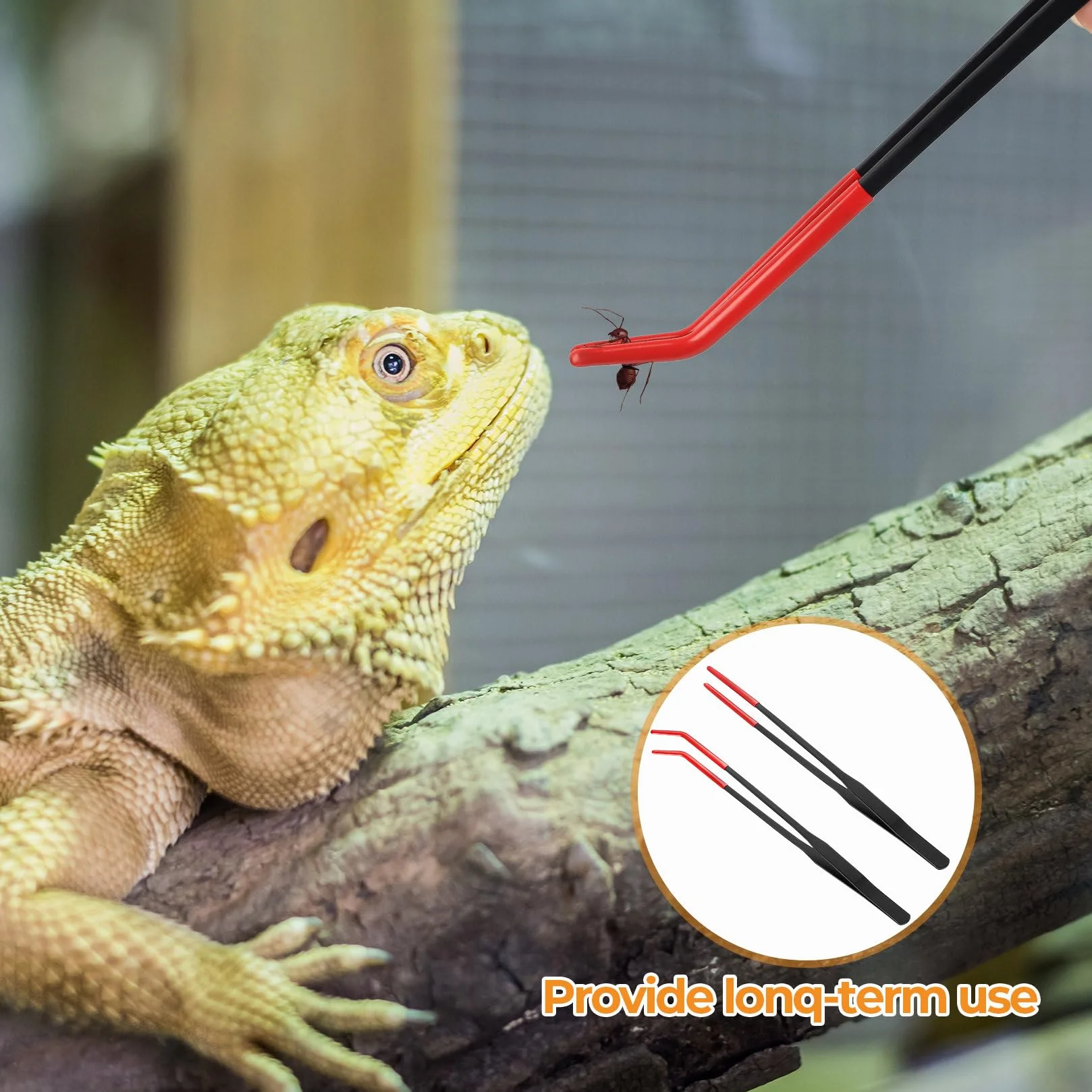 Pince Aquarium Longue Acier Inoxydable avec Embouts Caoutchouc, Courbé et Droit