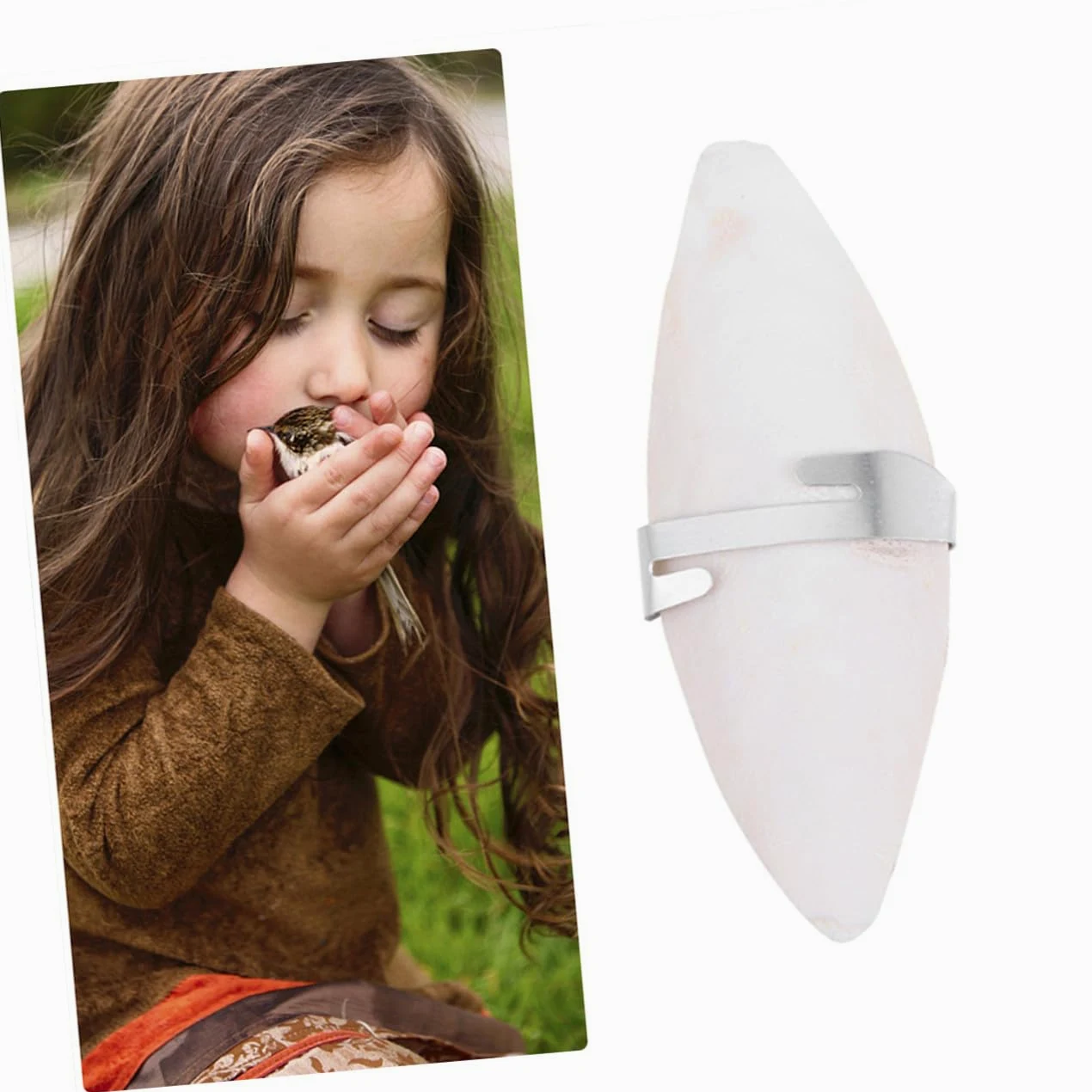 GALPADA 36 Ensembles Lot de Os de Seiche à Mâcher pour Petits Animaux de Grignotage Naturel Calcium avec Support Métallique pour Hamsters Cochons et Oiseaux