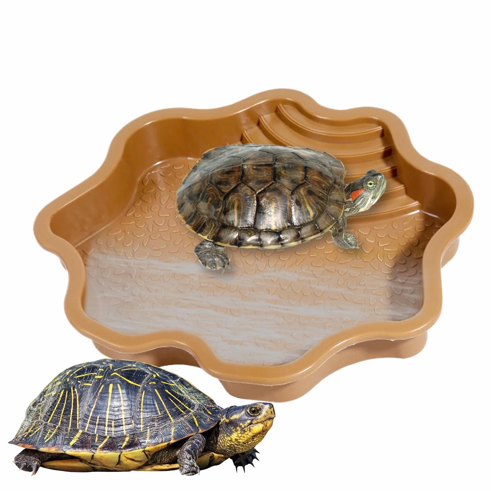 Piscine de Bain pour Tortue | Mangeoire à Eau pour Tortue avec Rampe – de trempage pour Tortue pour Reptiles